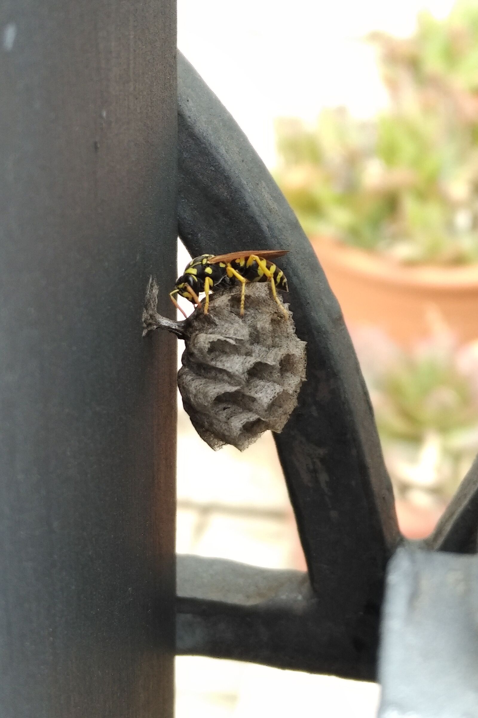 Work in progress. Home improvements