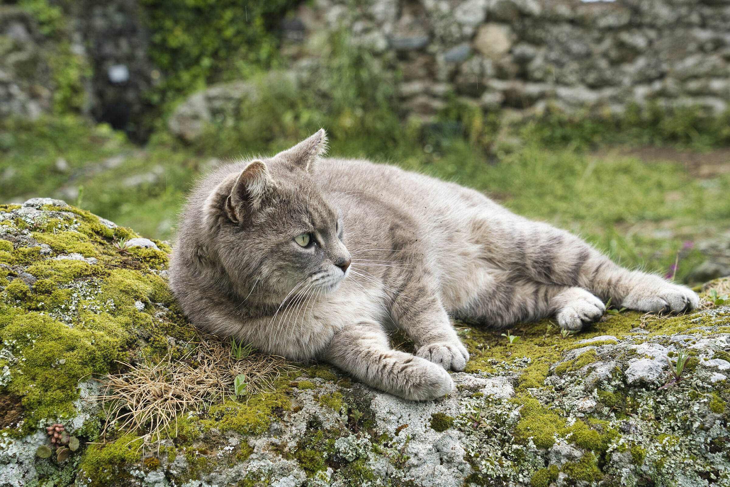 chi sta meglio di me