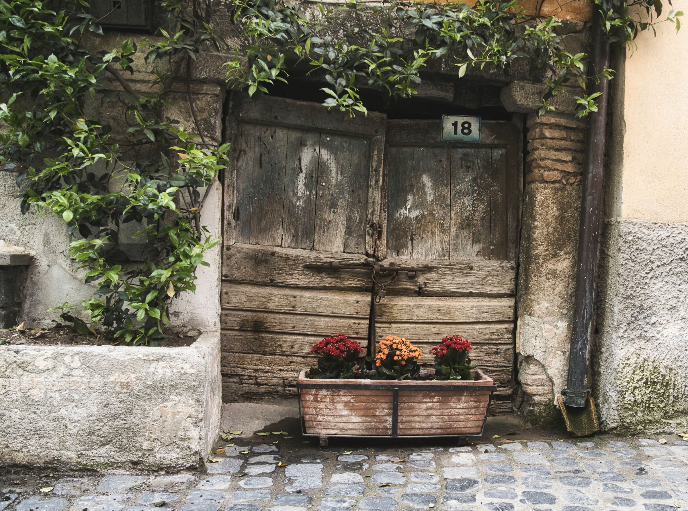 In the old village 1 (Trevignano Romano)