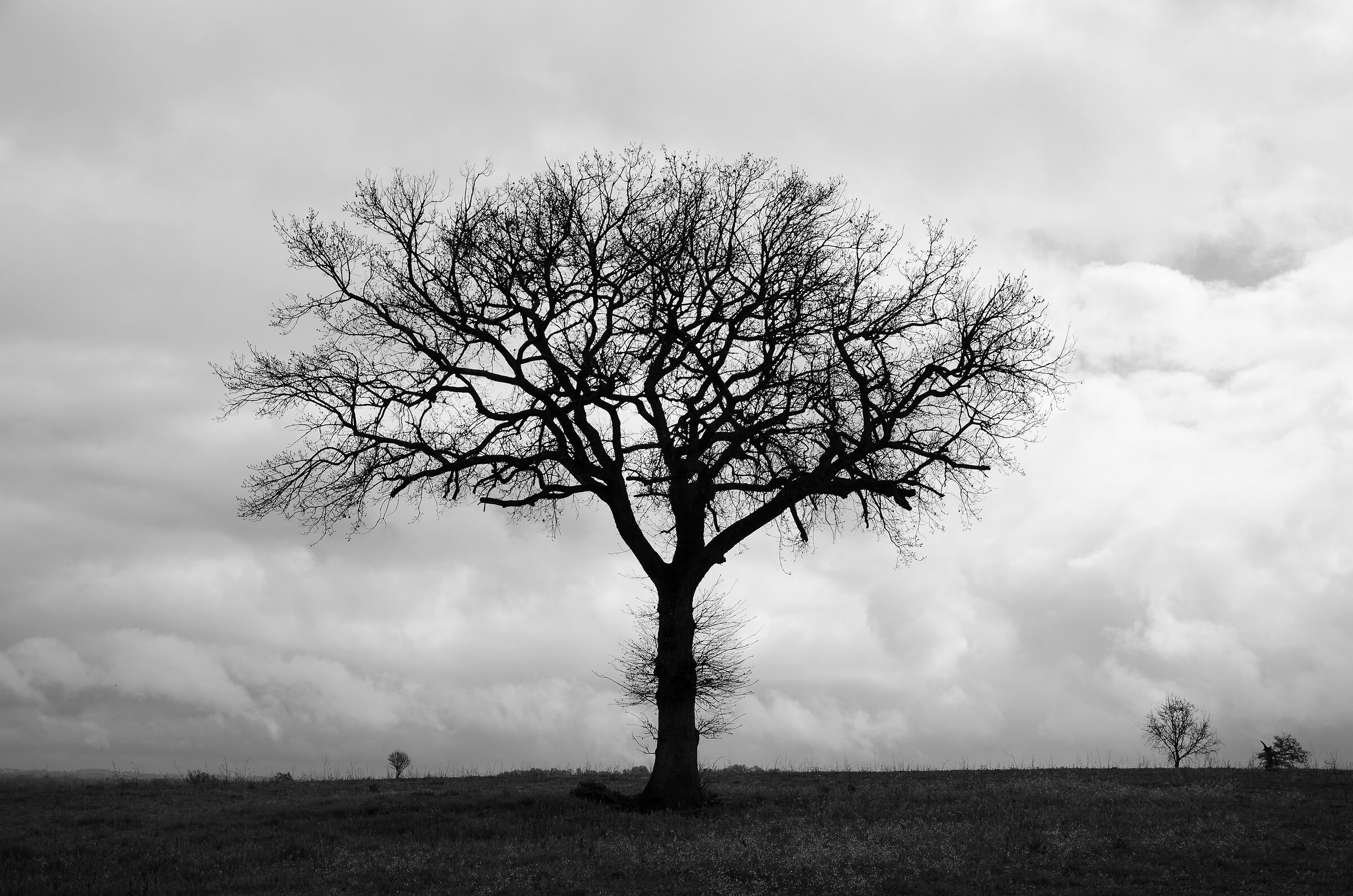 Strength and loneliness