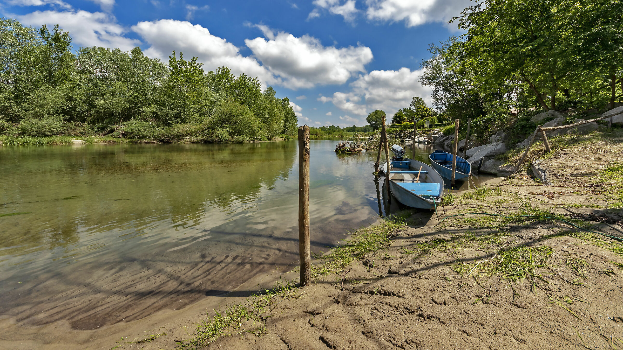 Il ramo delle Streghe