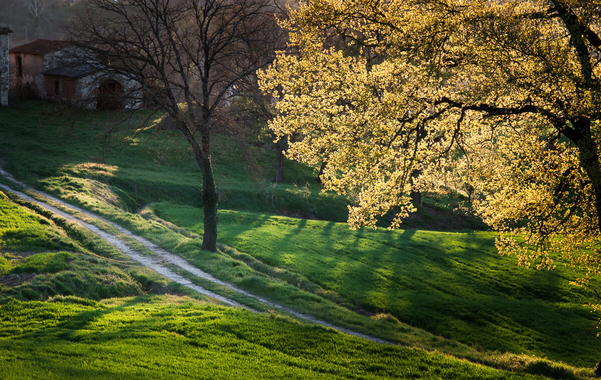 The fall off season...