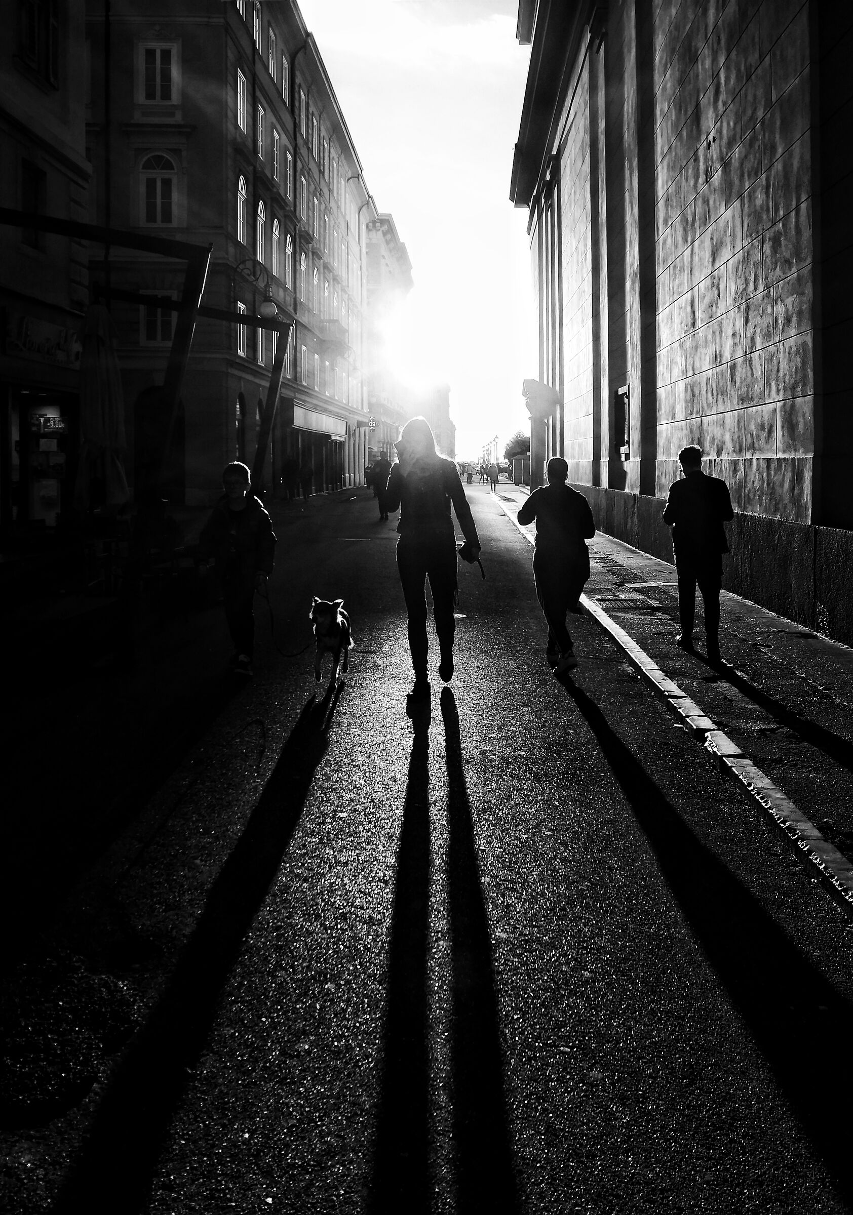 Men, women, boys and dogs.