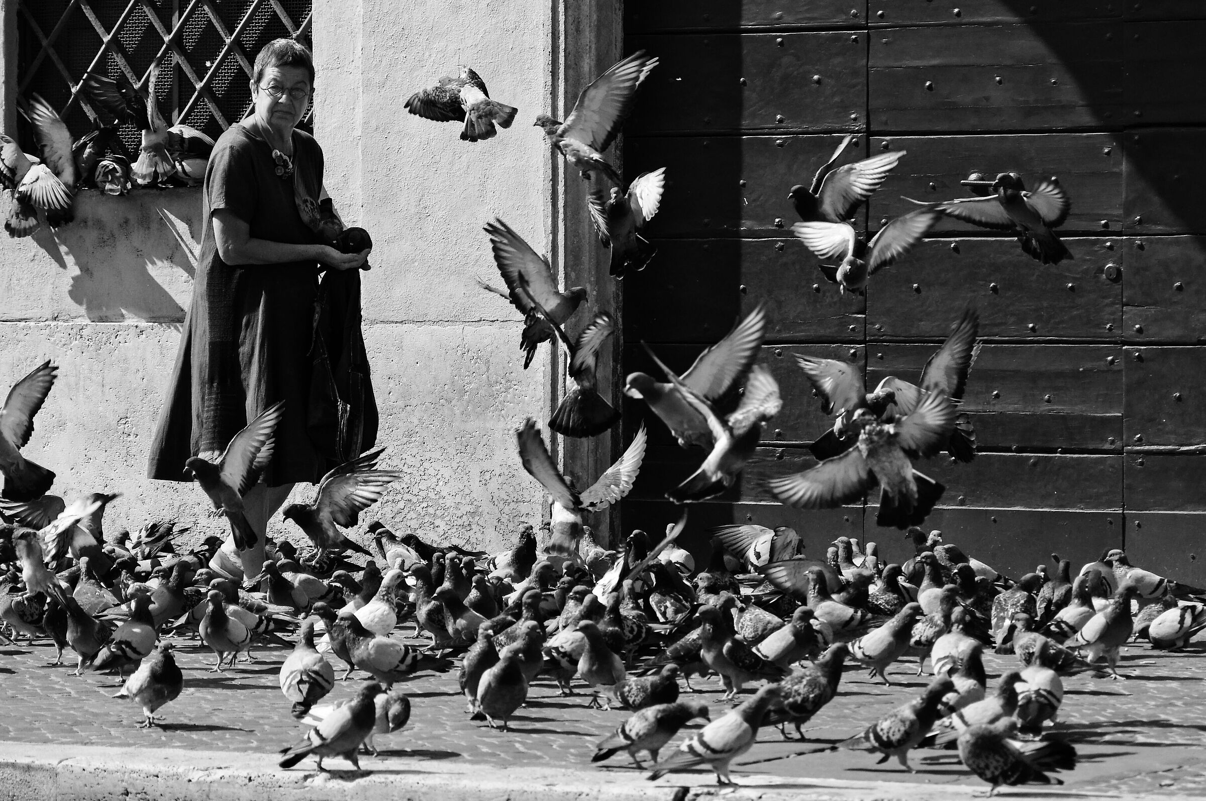 La signora dei piccioni