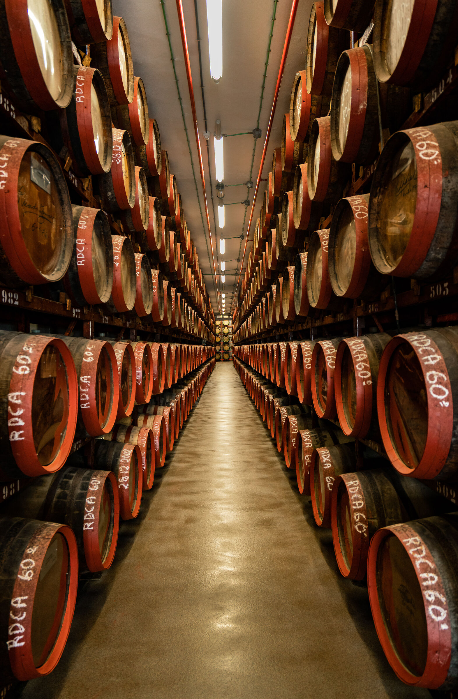 Between the barrels