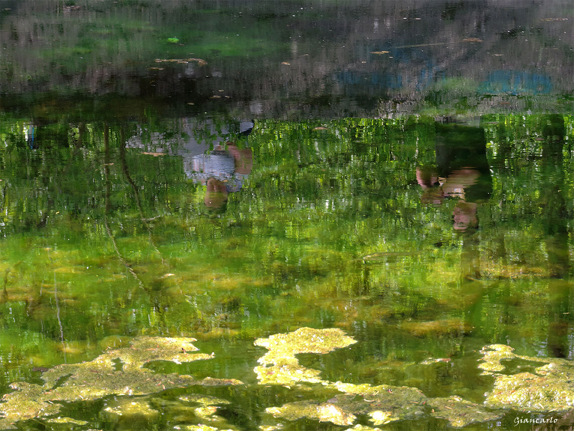 Lo specchio d'acqua ispira i pittori