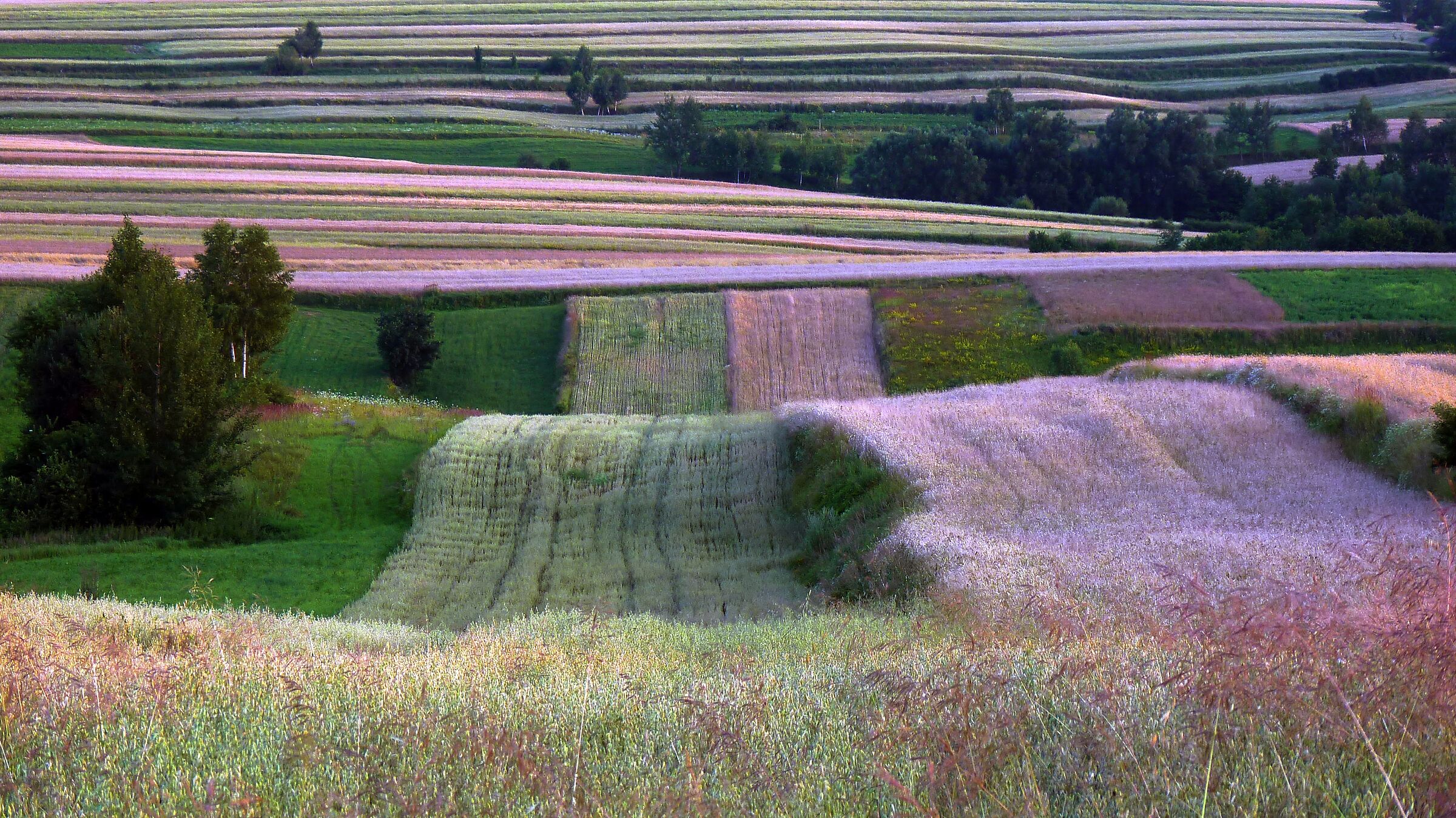 Swislina, Swietokrzyskie Region, Poland