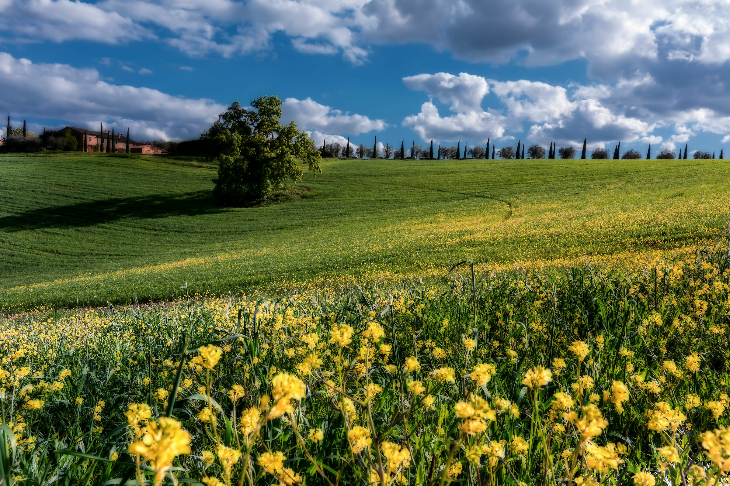 maggio 2019...forse la primavera? campagna umbra