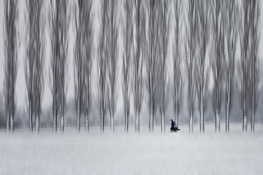 Promenade dans la neige