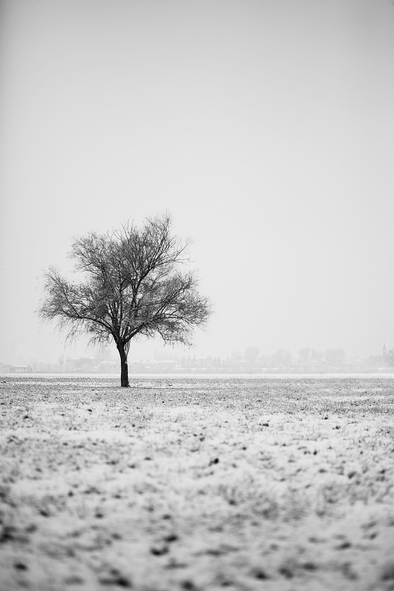 The Solitude of Prime Numbers