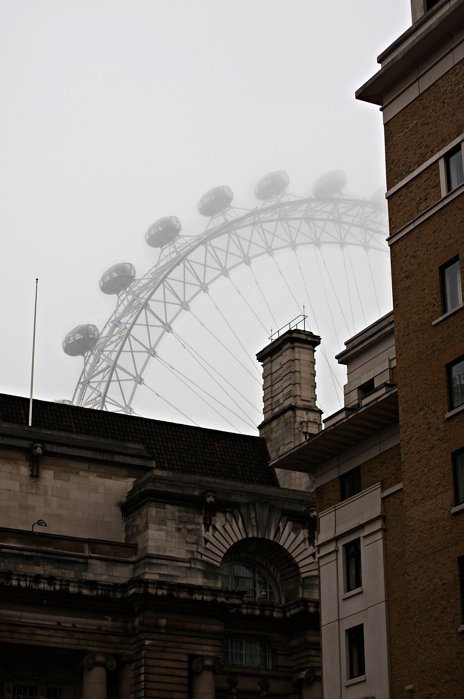 Foggy Eye