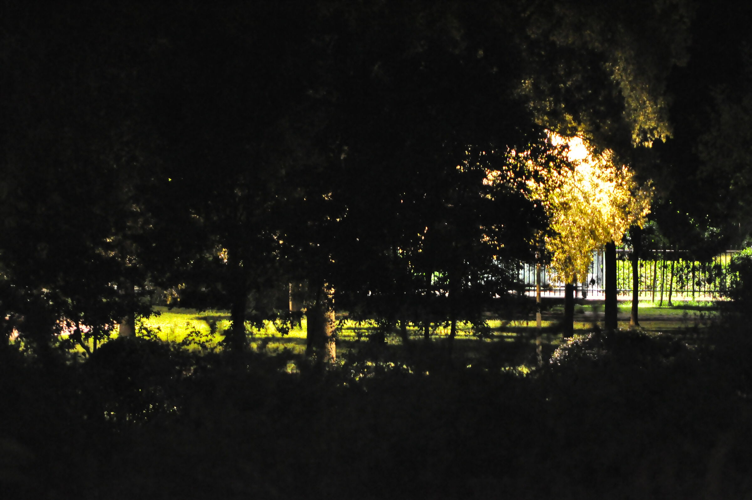 La finestra sul cortile