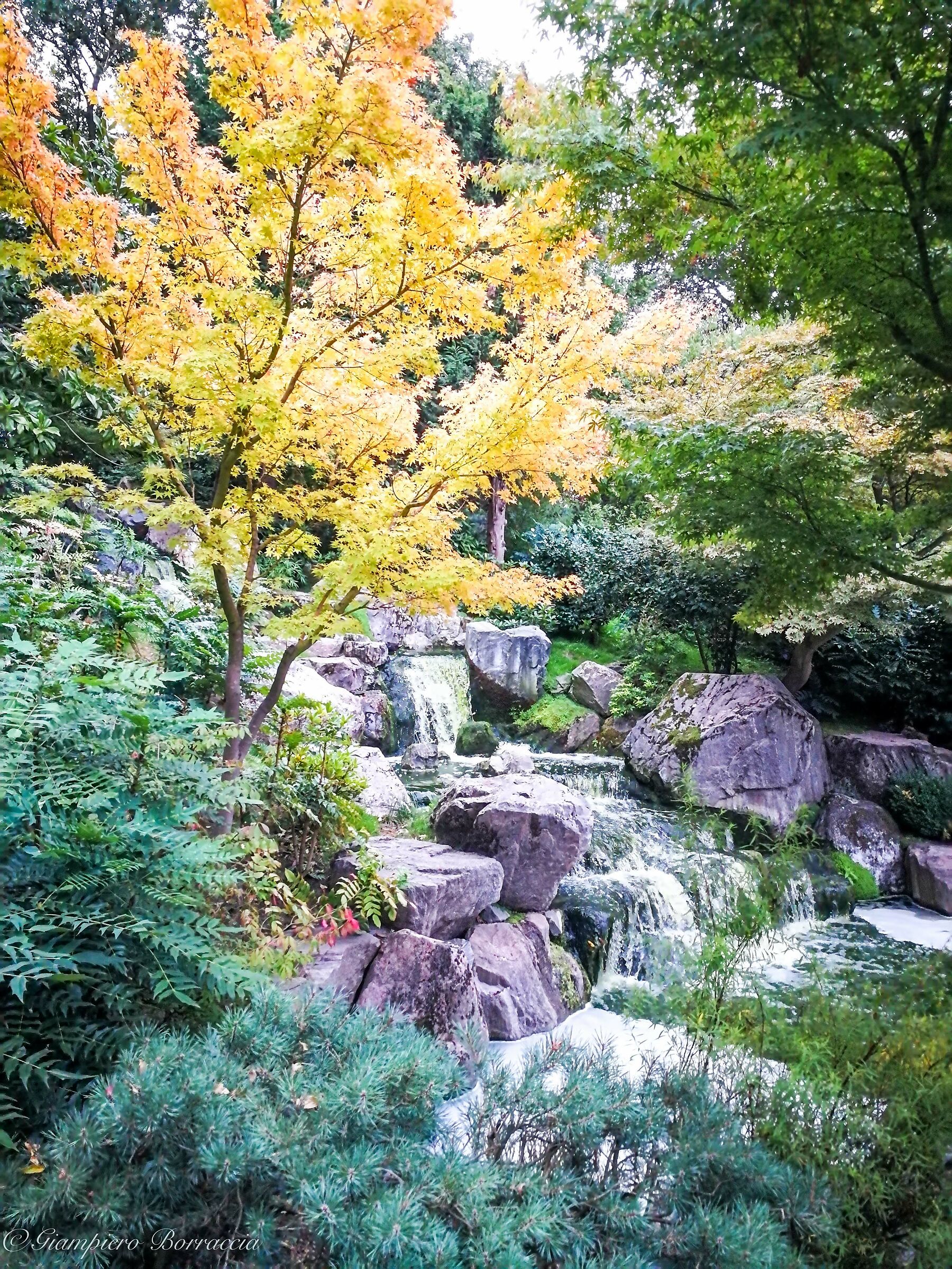 Kyoto Garden (Holland Park)