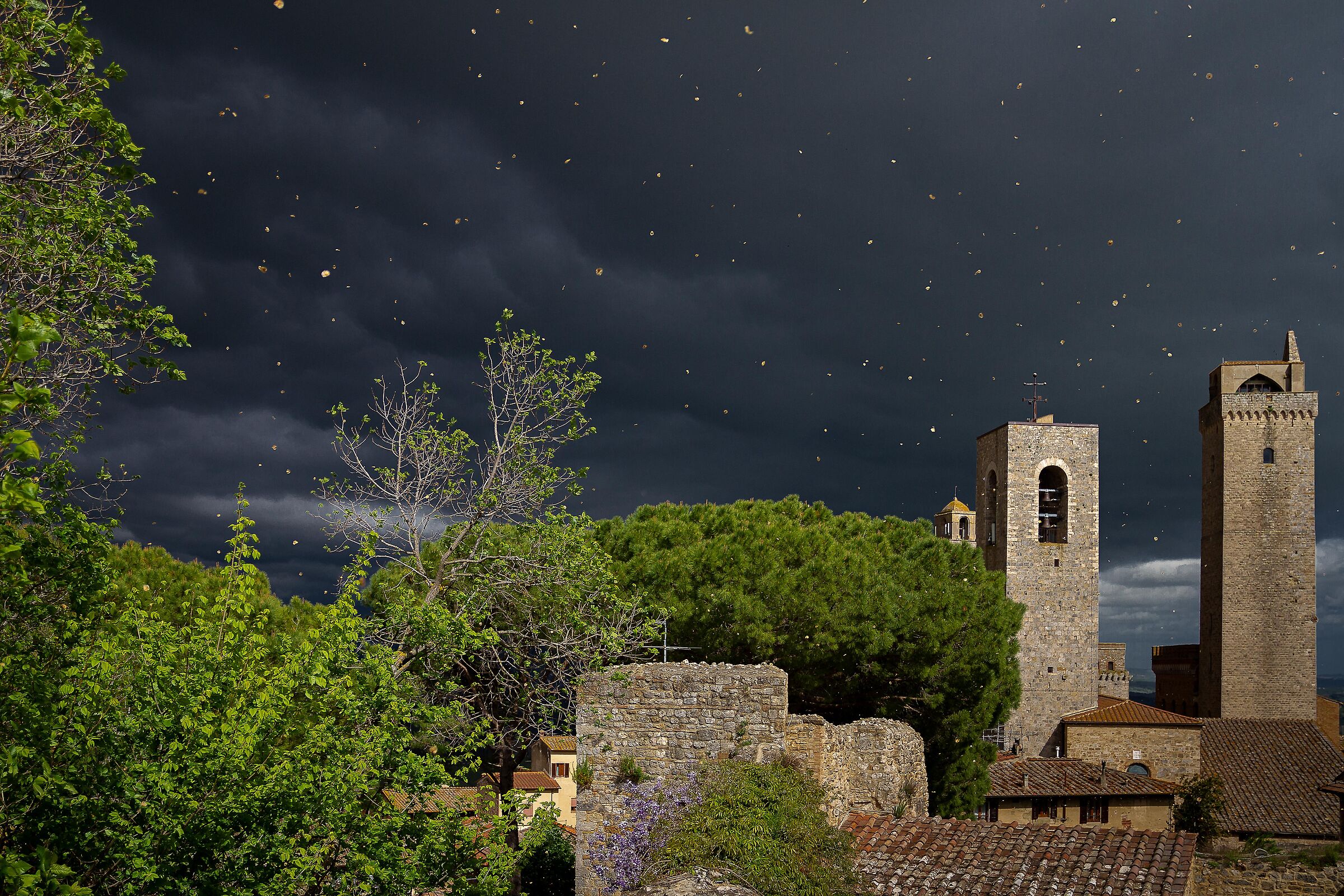 What a whirlwind....