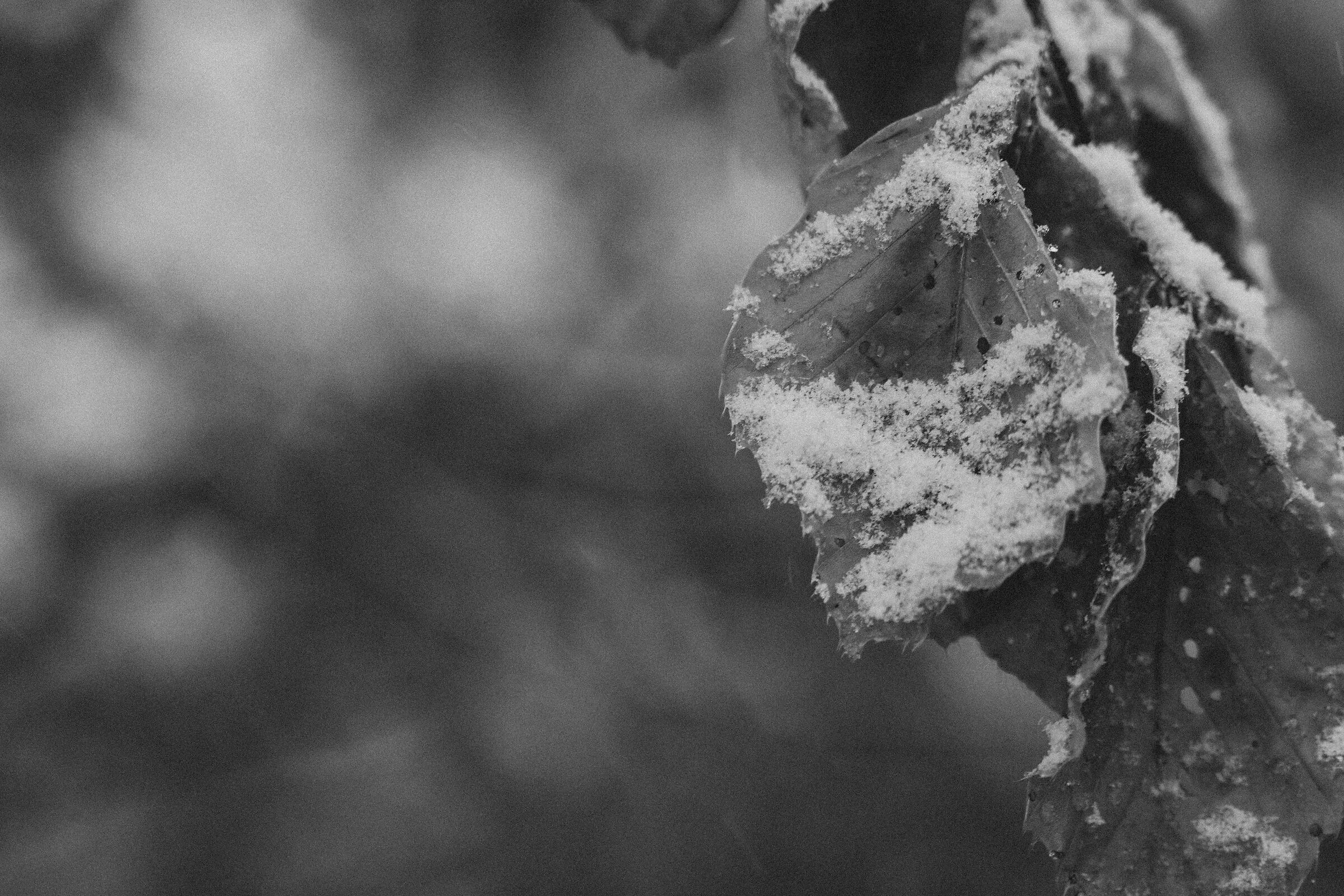 When it falls slightly