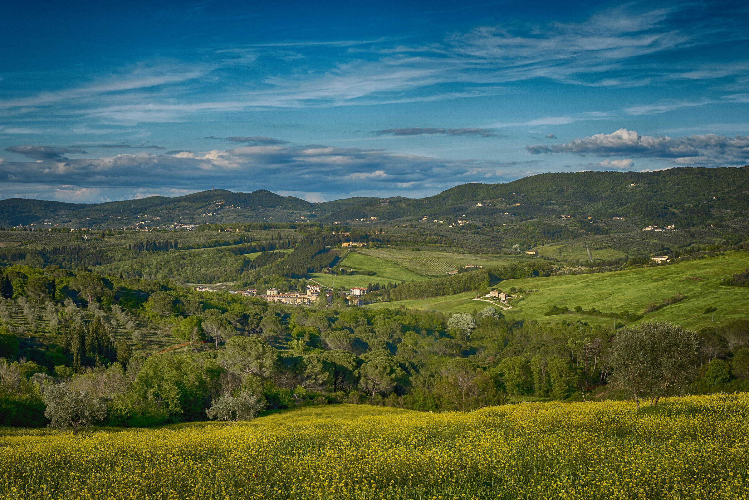 Colline di Firenze