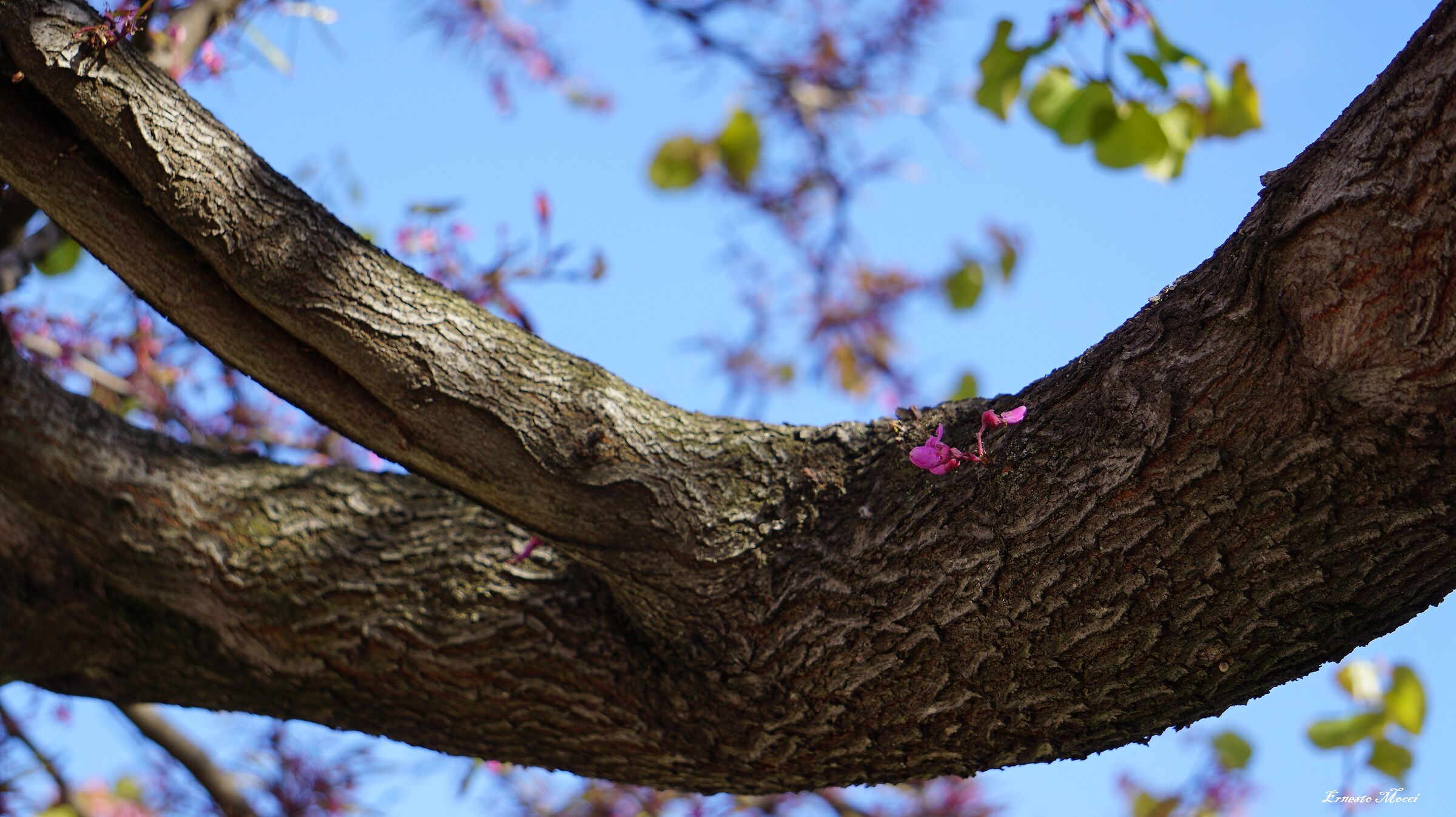 May the Force be with you, Noemi