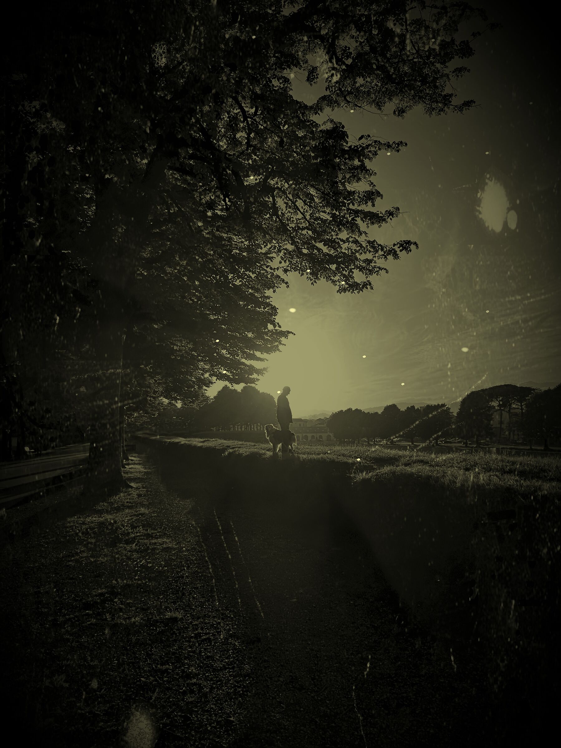 La vera amicizia....