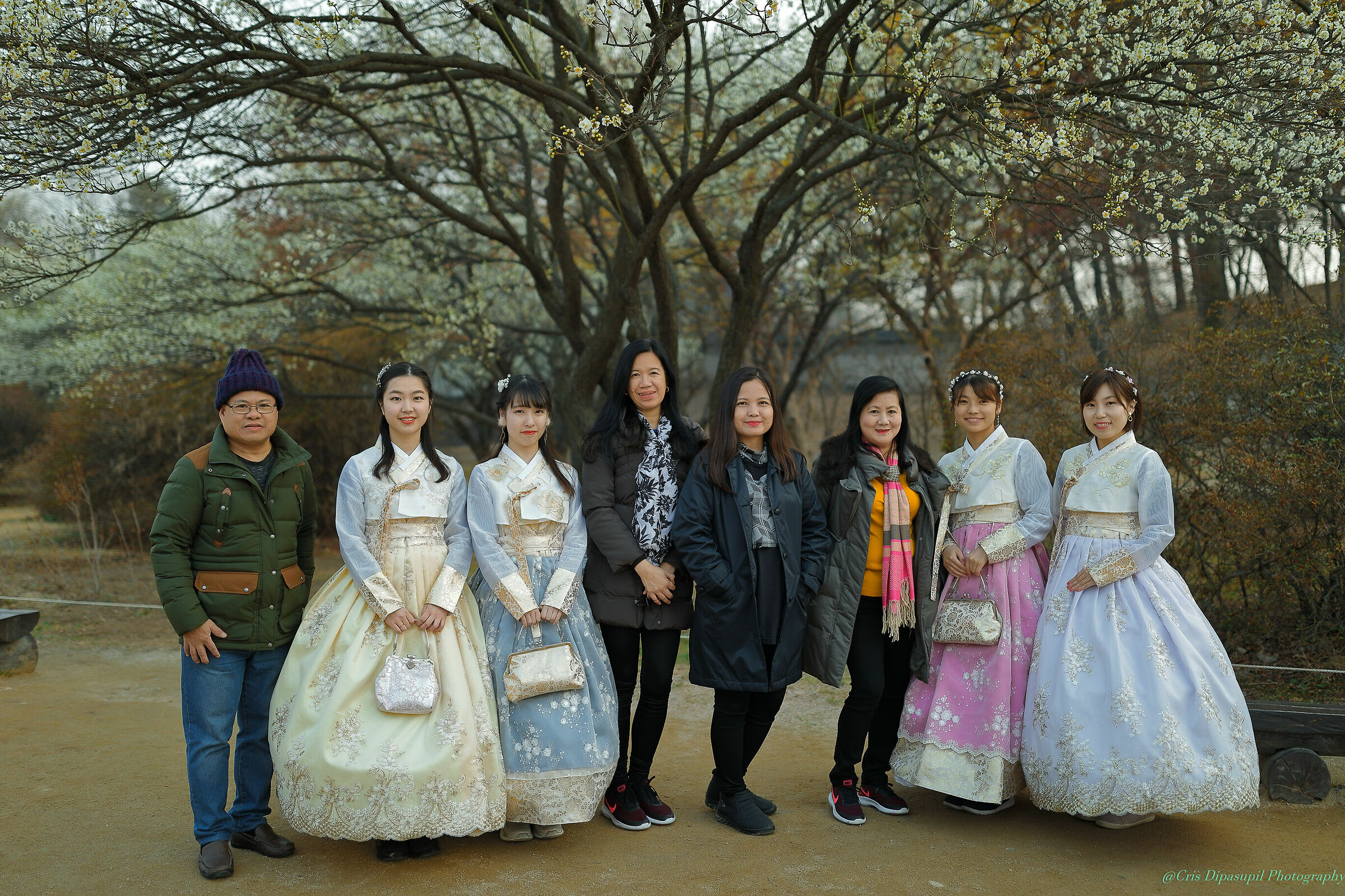 Il giardino segreto Seoul Corea del sud