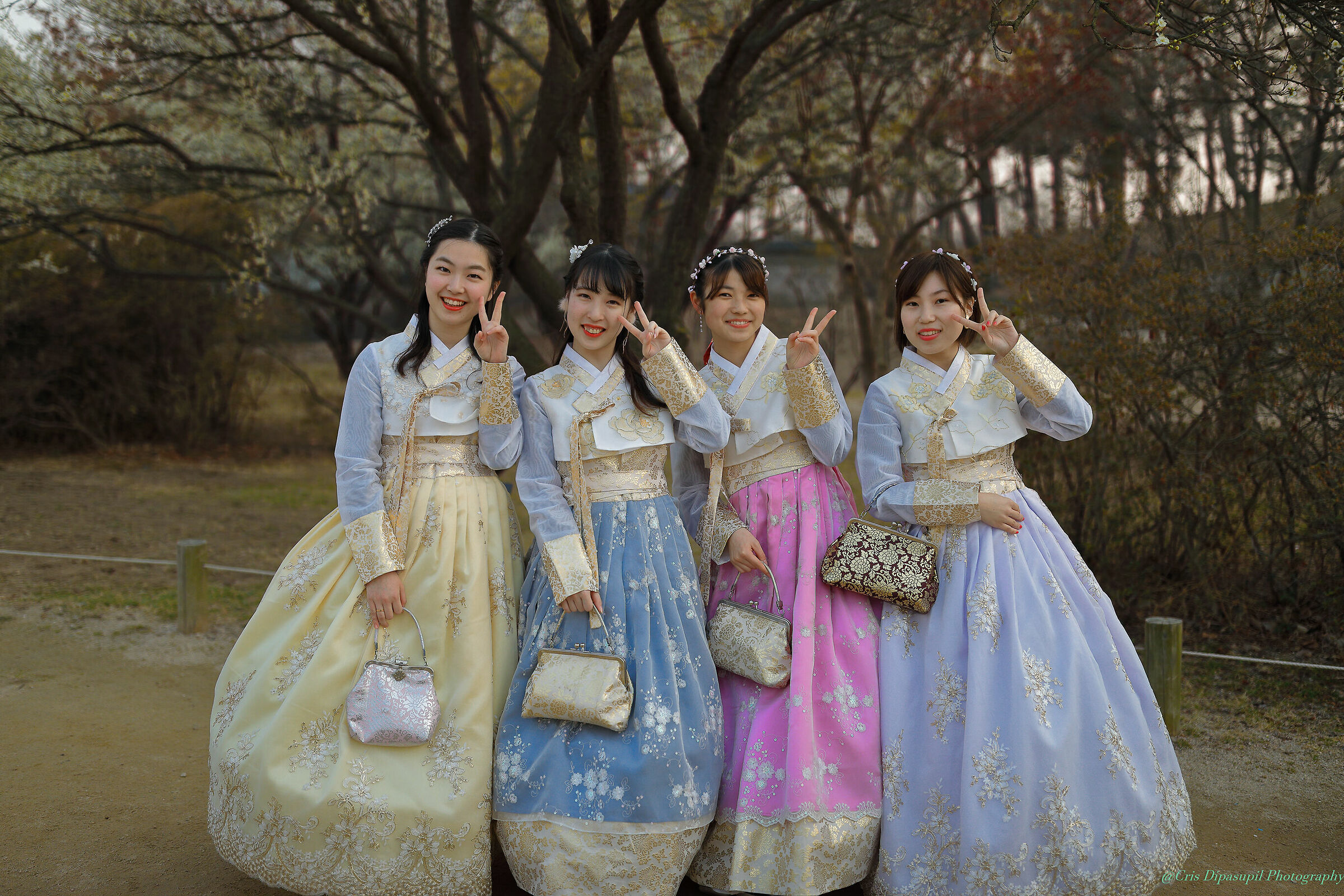 Il giardino segreto Seoul Corea del sud