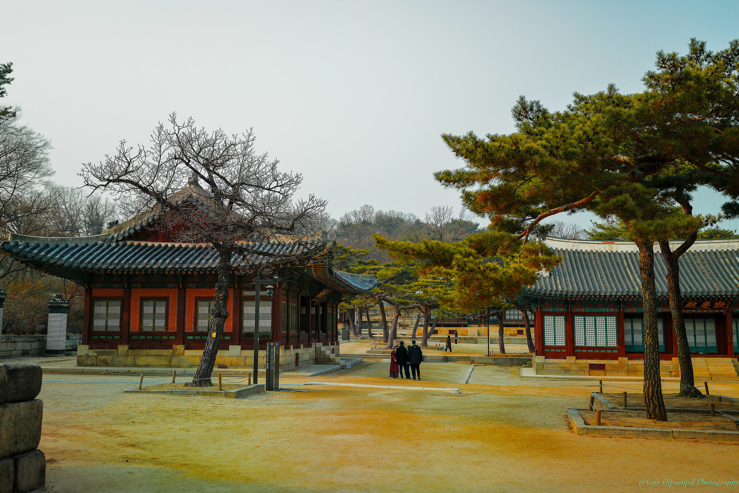 Changgyeonggung Palace Corea del sud