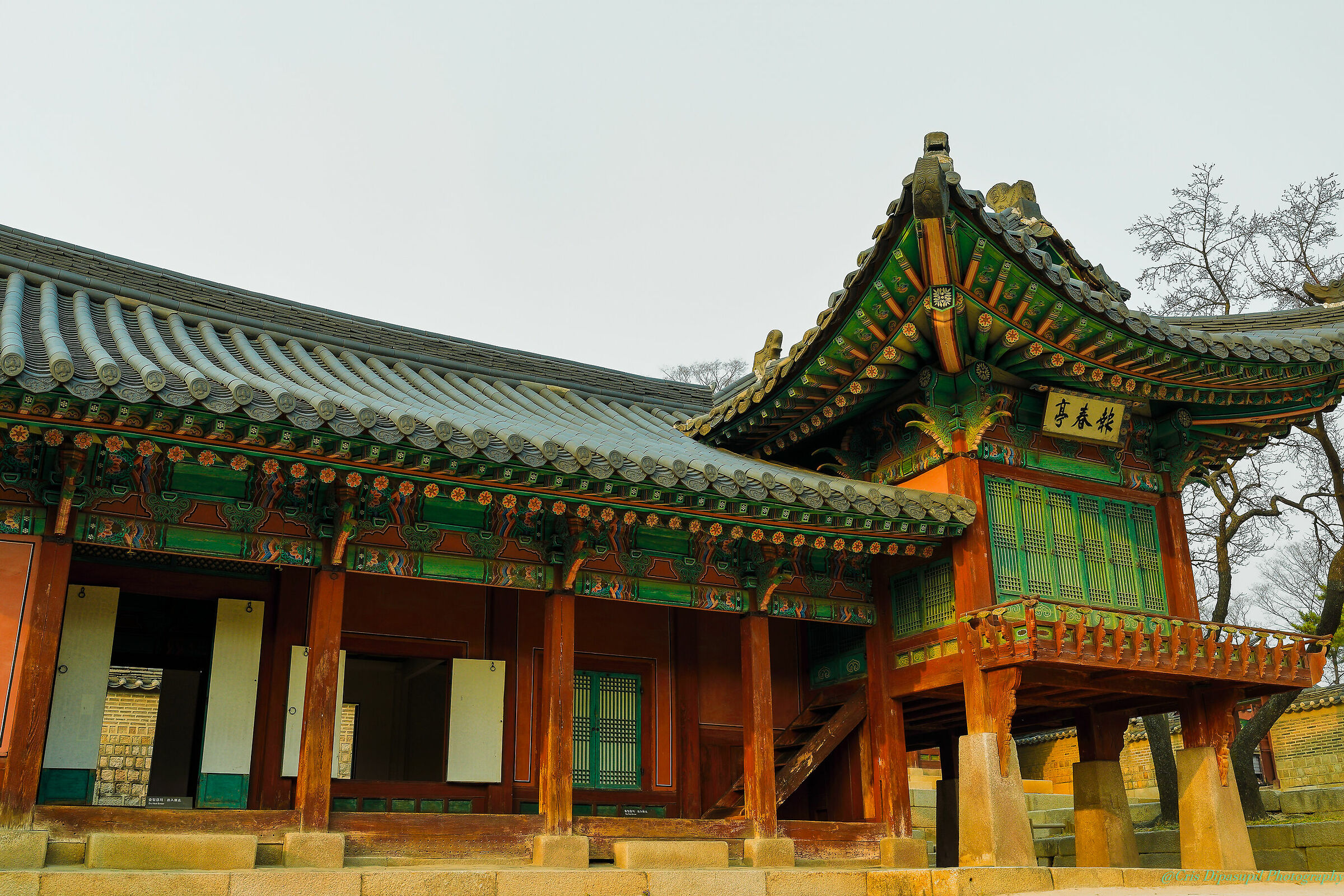 Changgyeonggung Palace Corea del sud