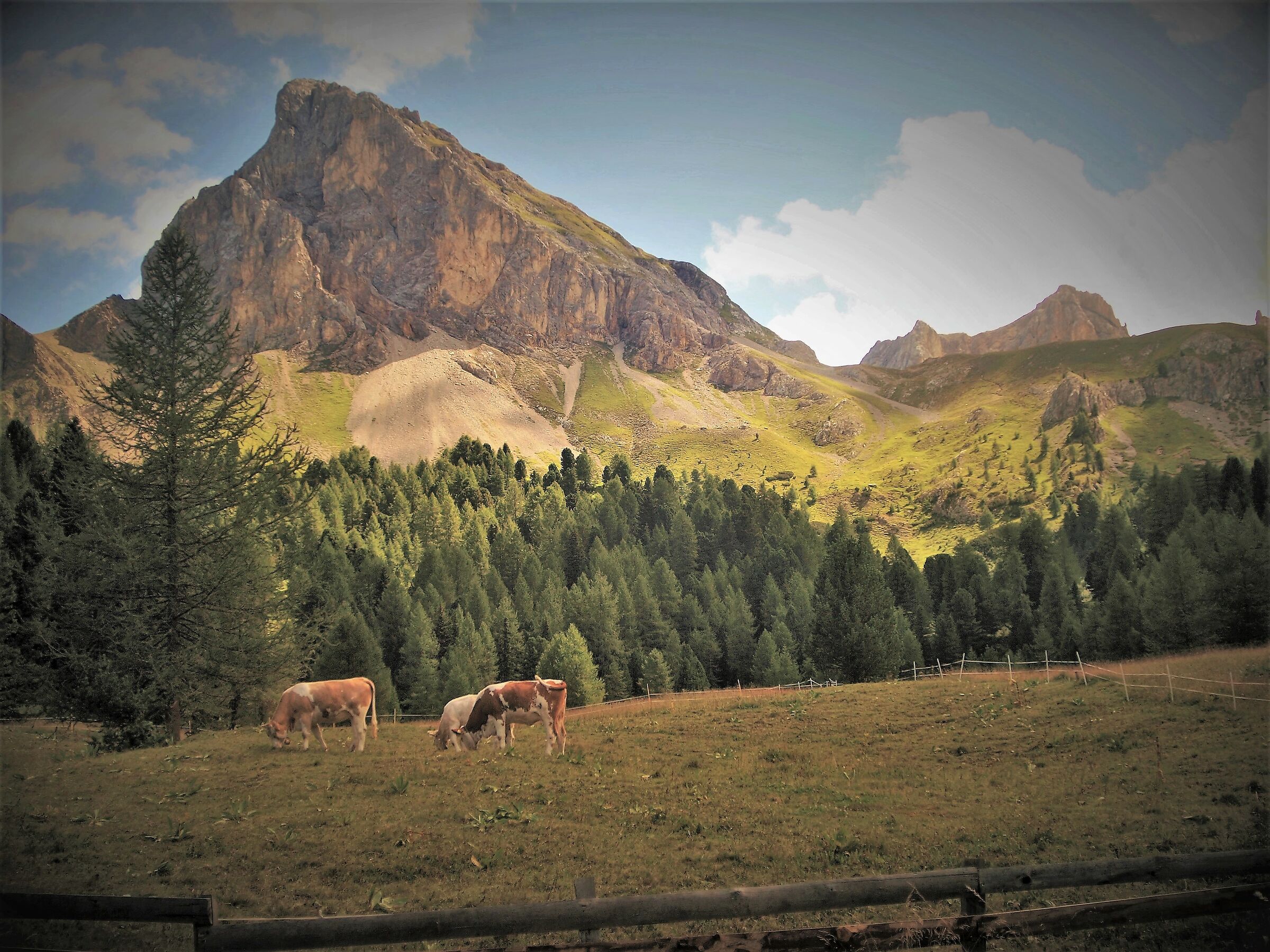 In some corner of Val di Fassa (Tn)