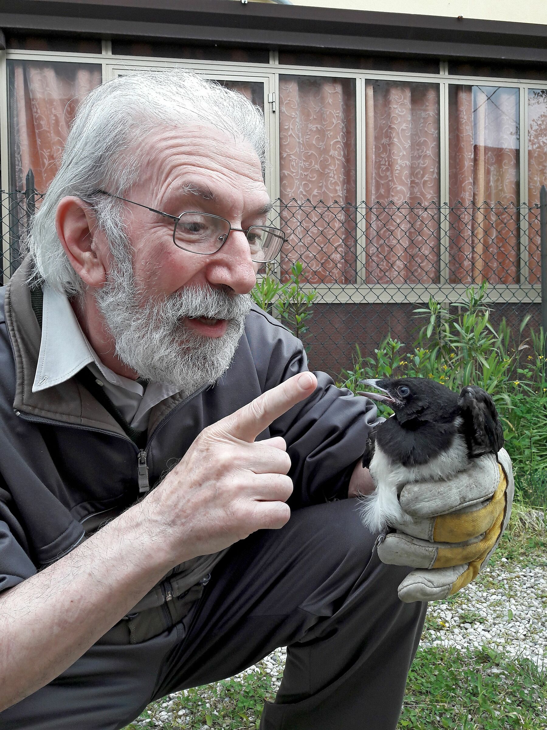 The man who whispered to the Magpie