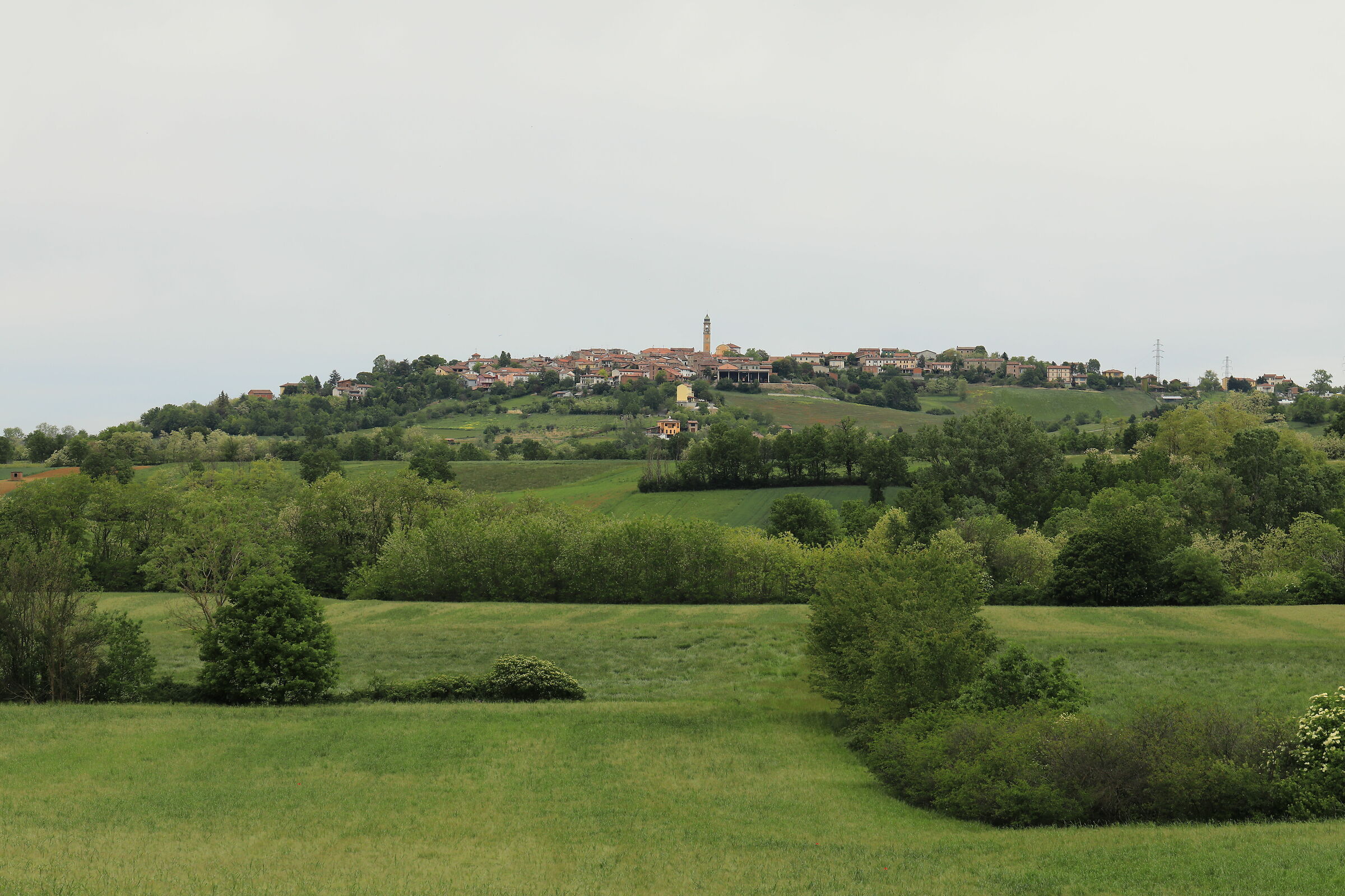 Colli Tortonesi primavera