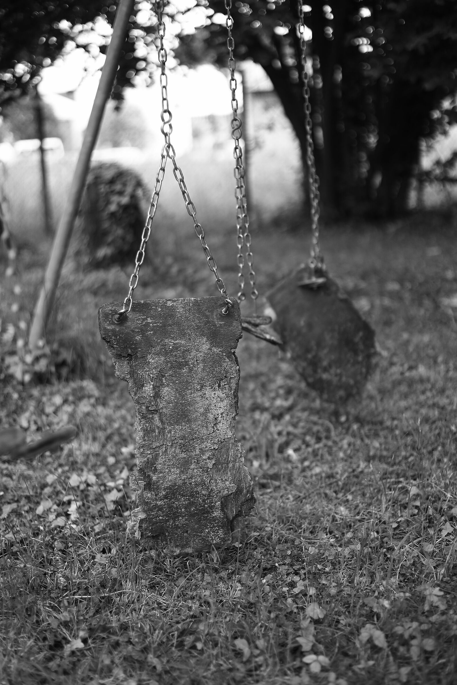 Old Swing