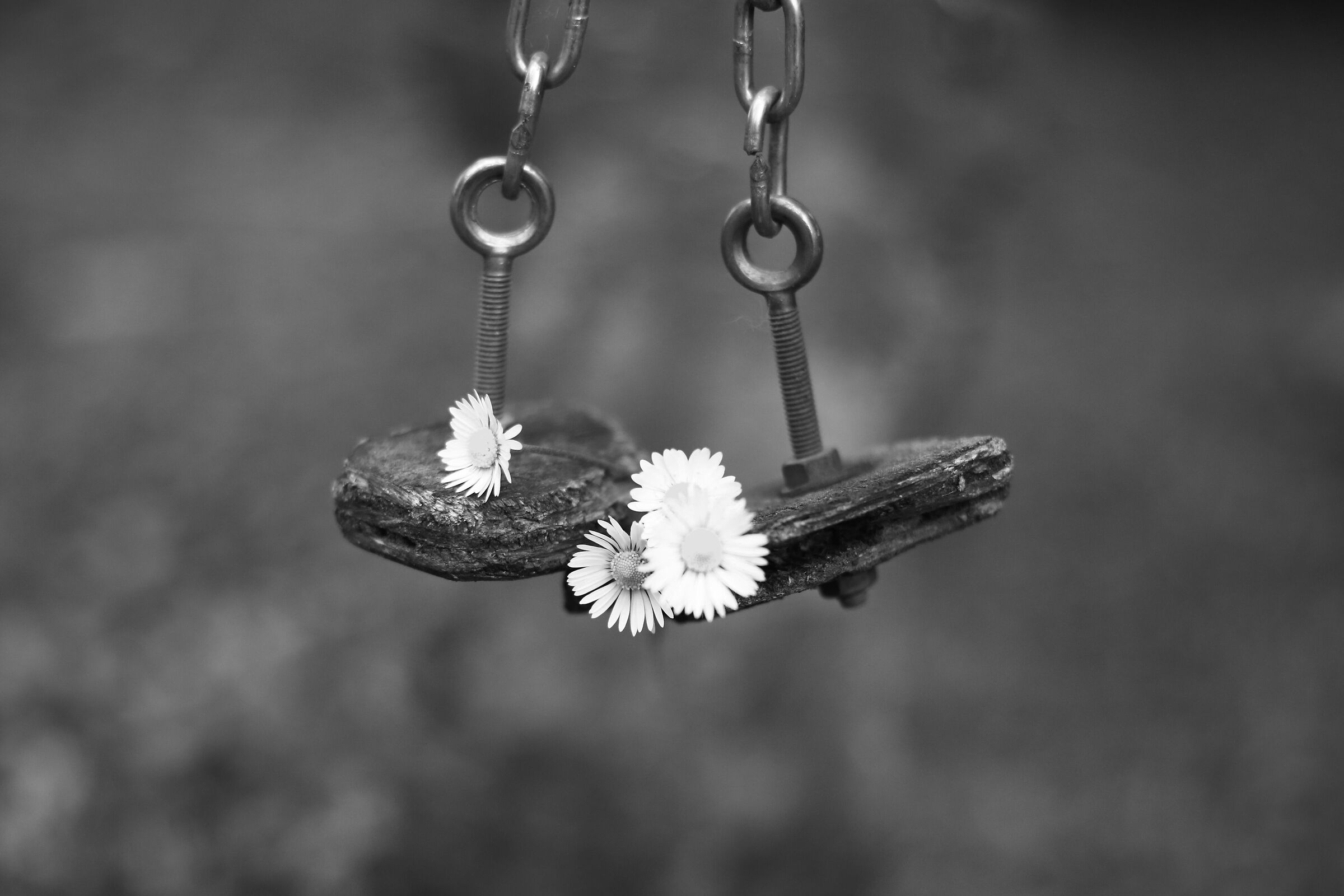 The flowers on the dead