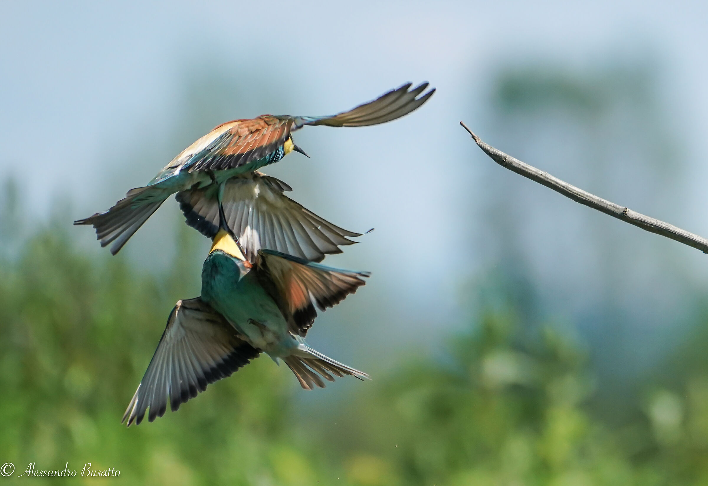 Aggressione in quota