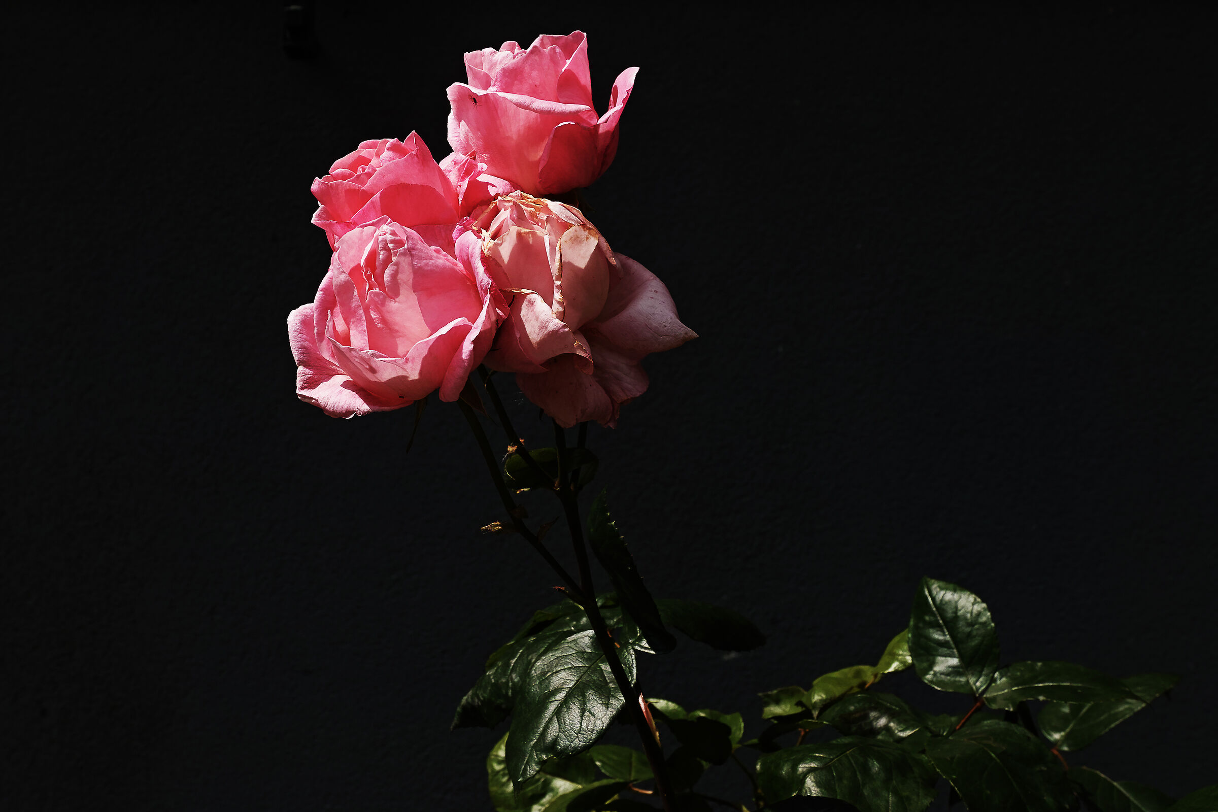 In un cortile di Milano