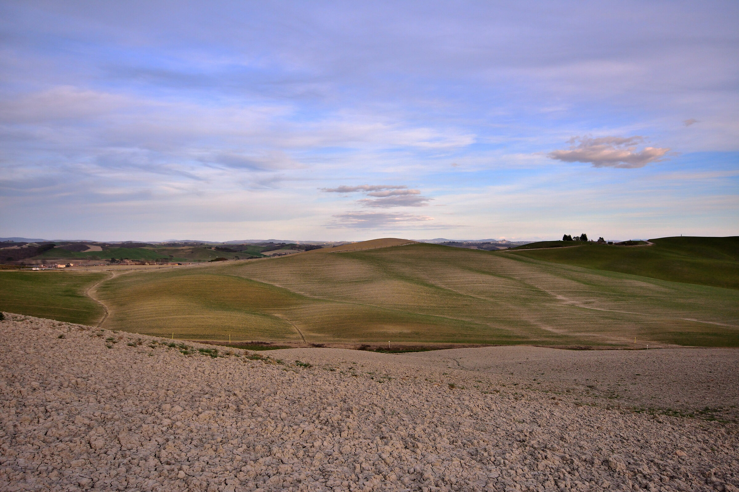 Colline senesi