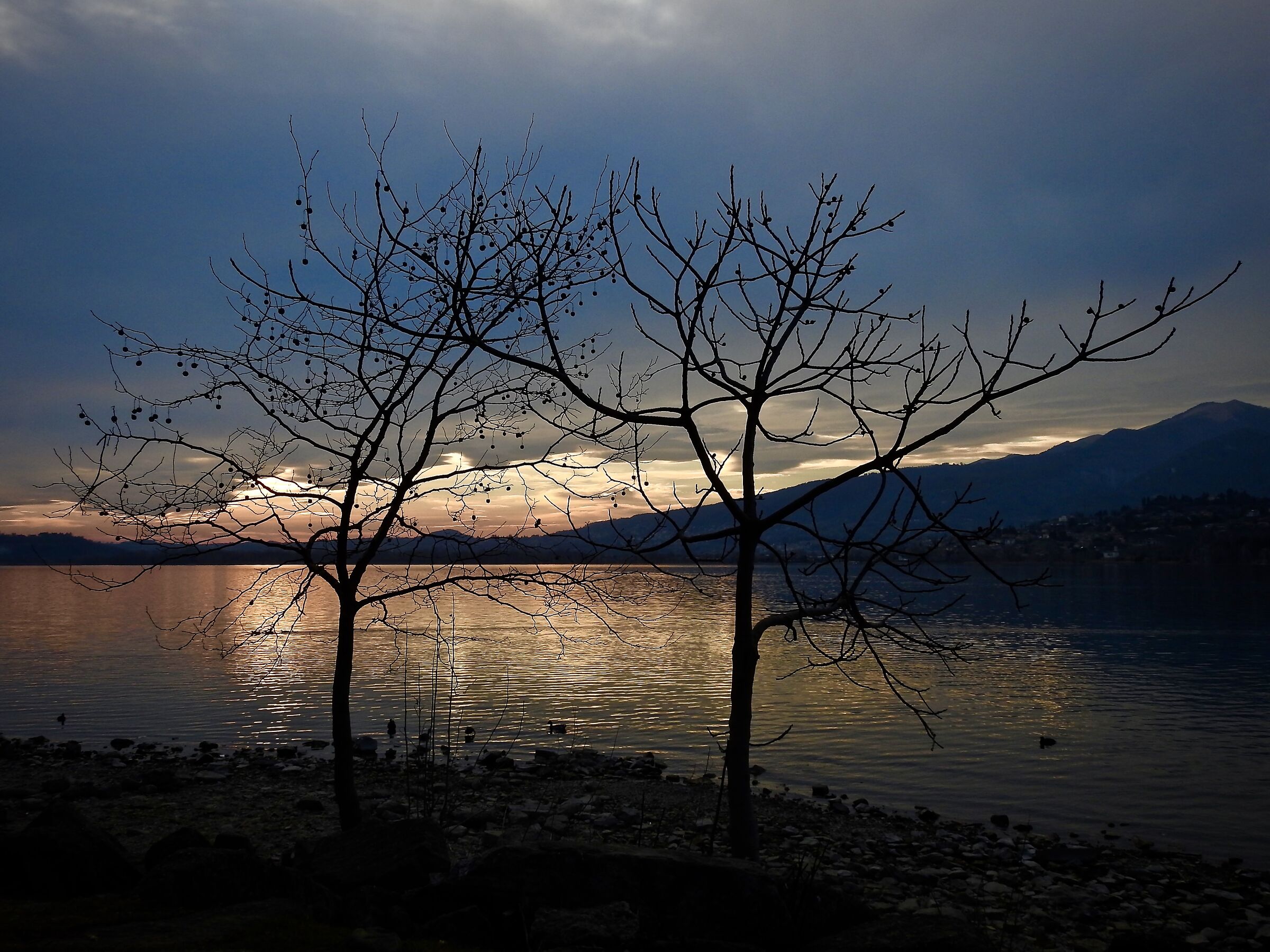 Lake Pusiano Shore of Bosisio