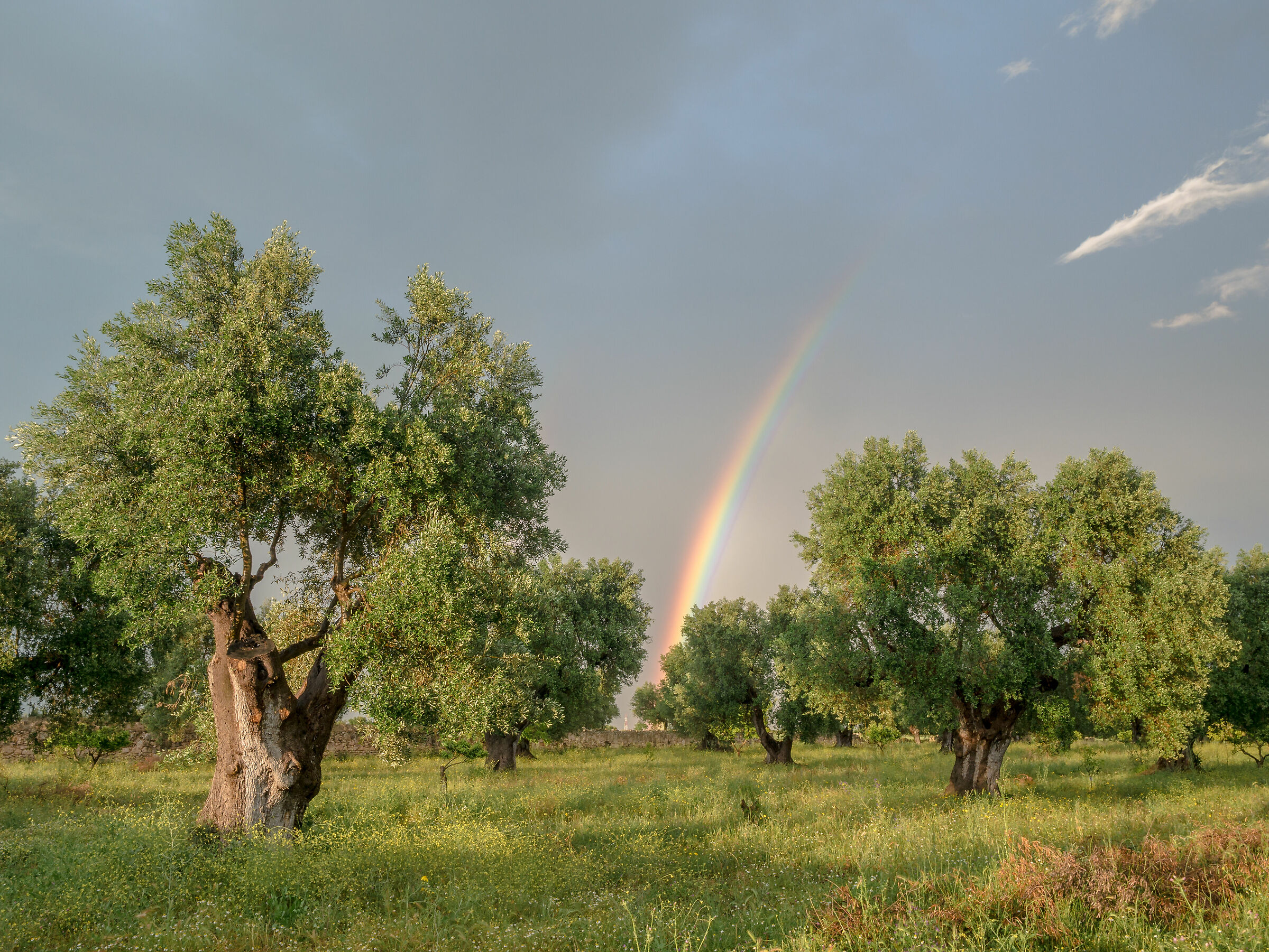 Quel fascio di luce sempre così affascinante