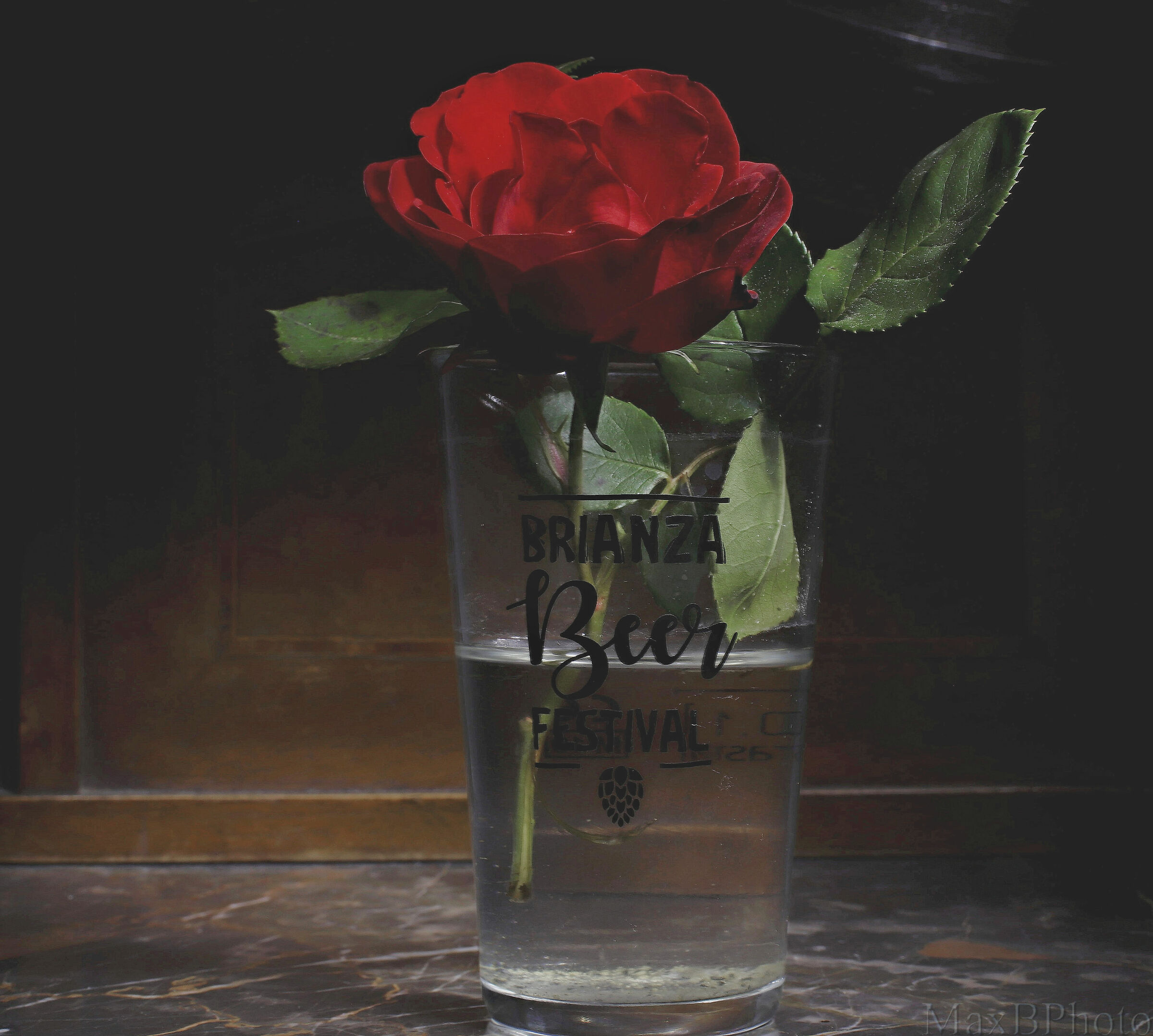 Beer and Roses