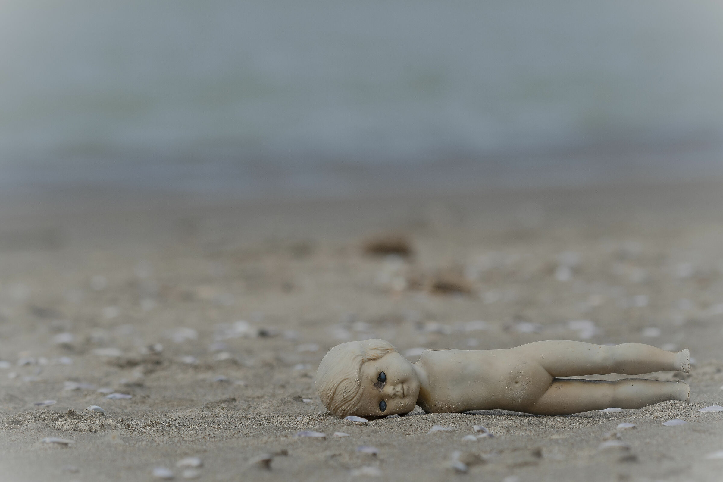 Still life in natura-Human decadence