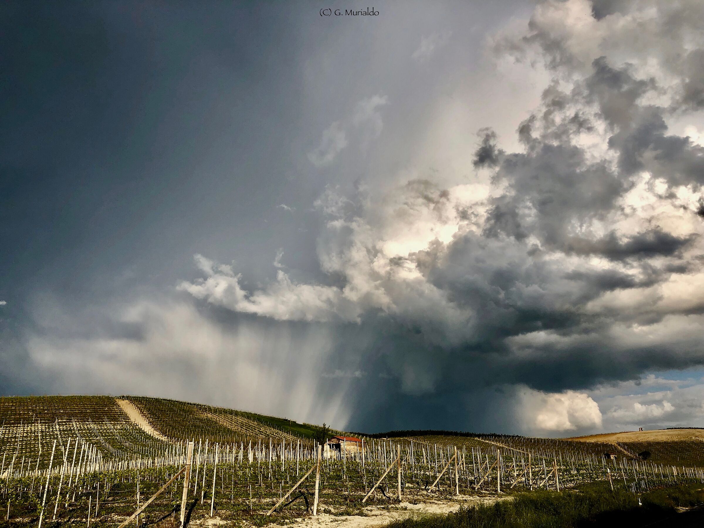 shelter from the storm