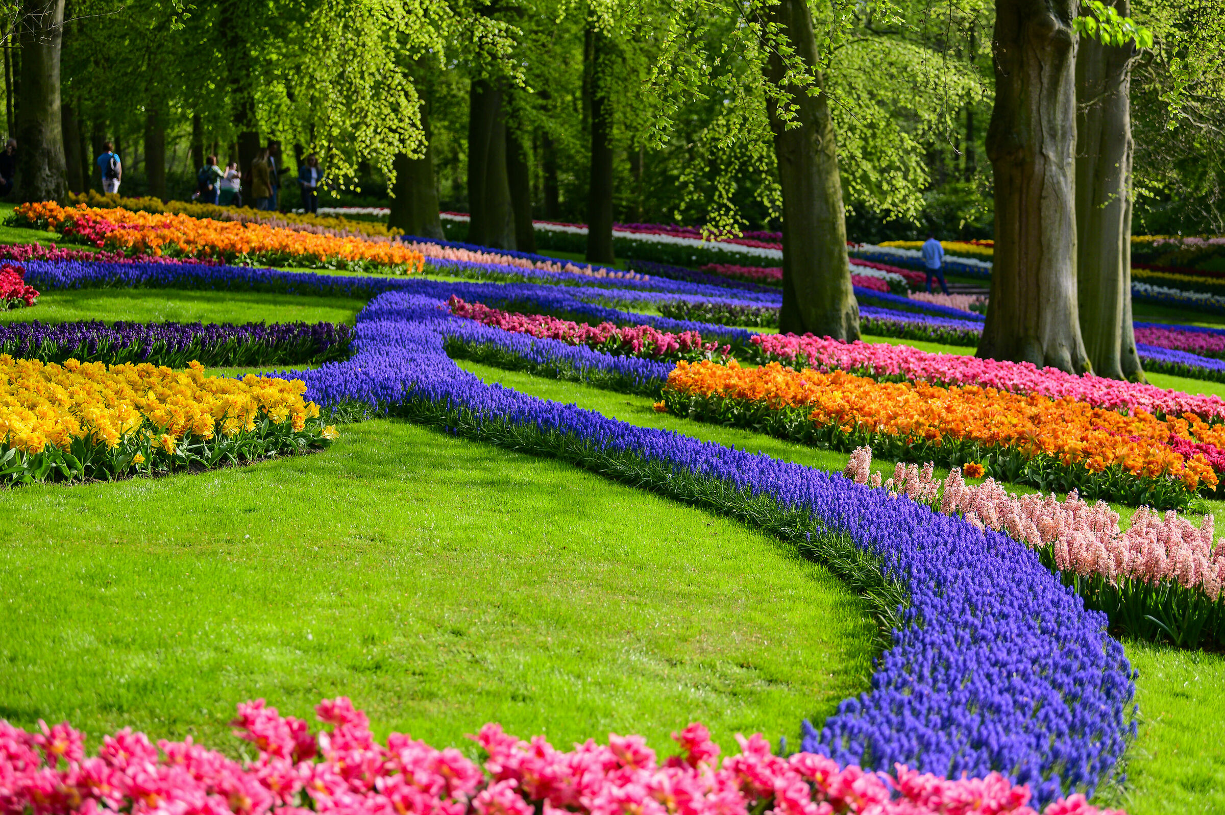 Parco Keukenhof
