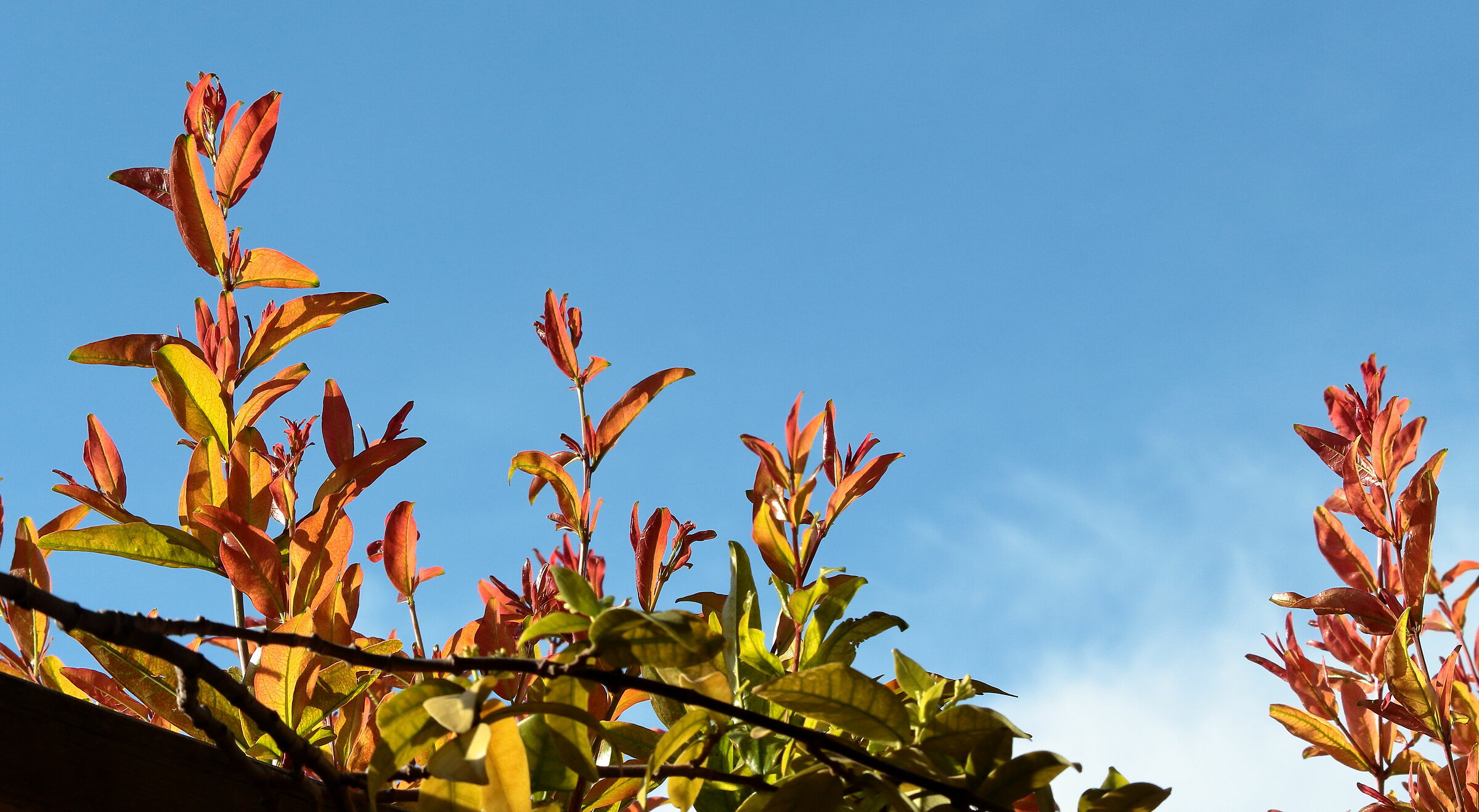 minimal: nulla... o tutto