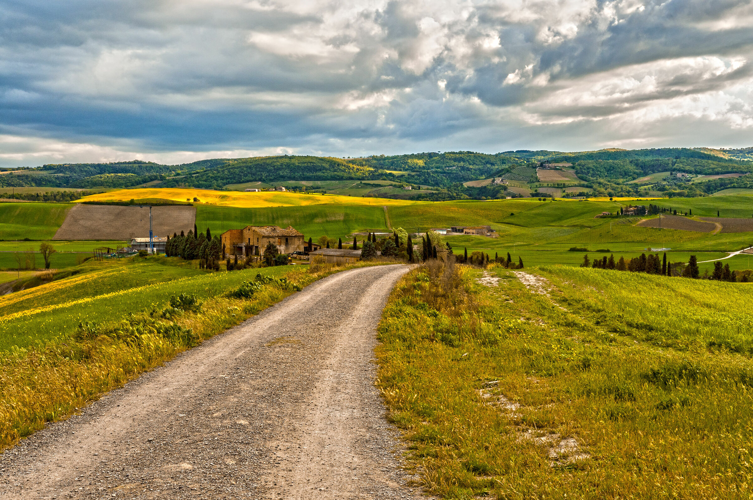 The hills of Val D'orcia