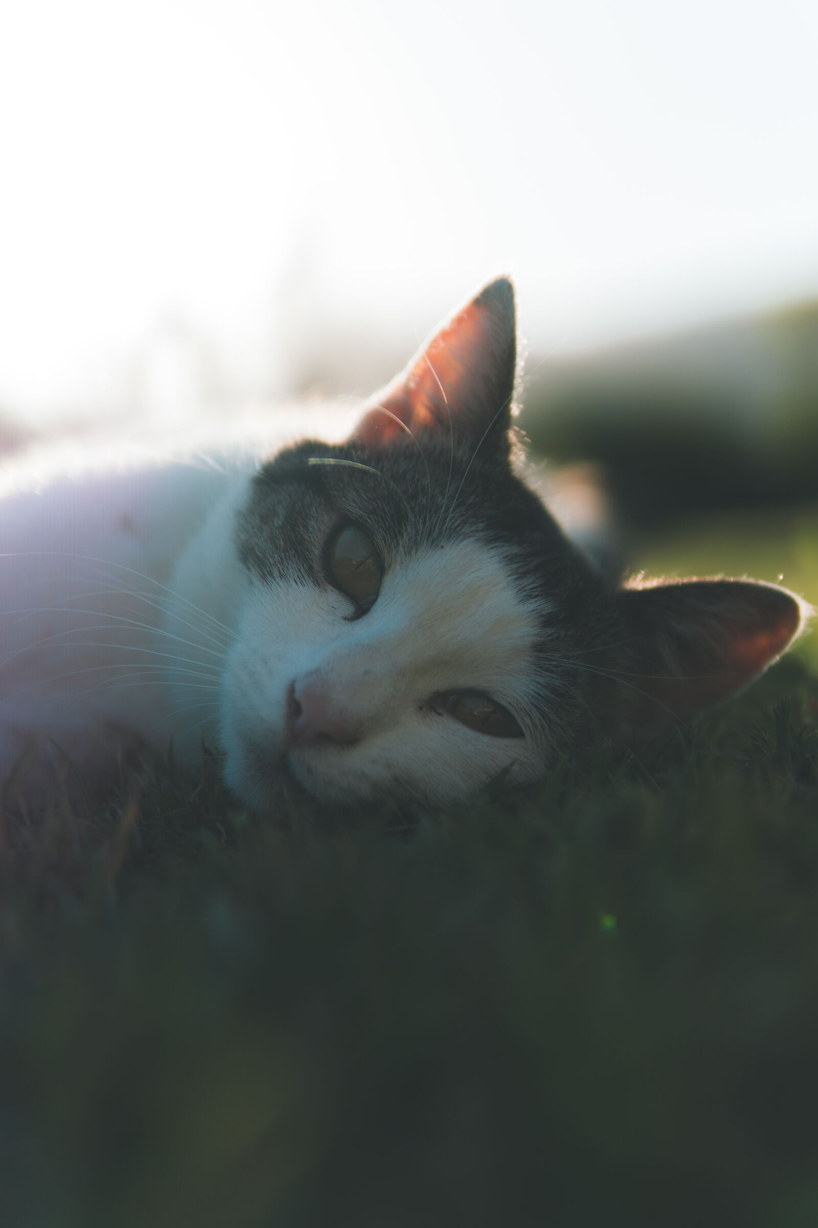 "But you let me sleep?"