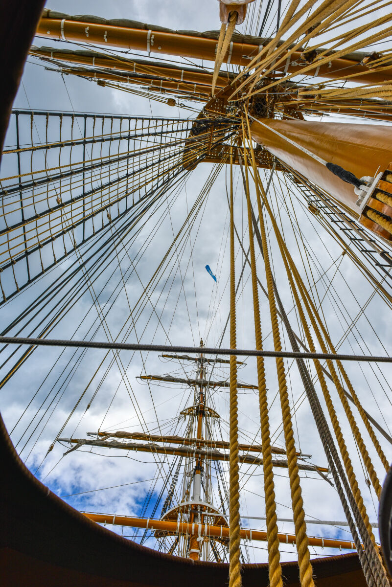 Alberi nave Vespucci