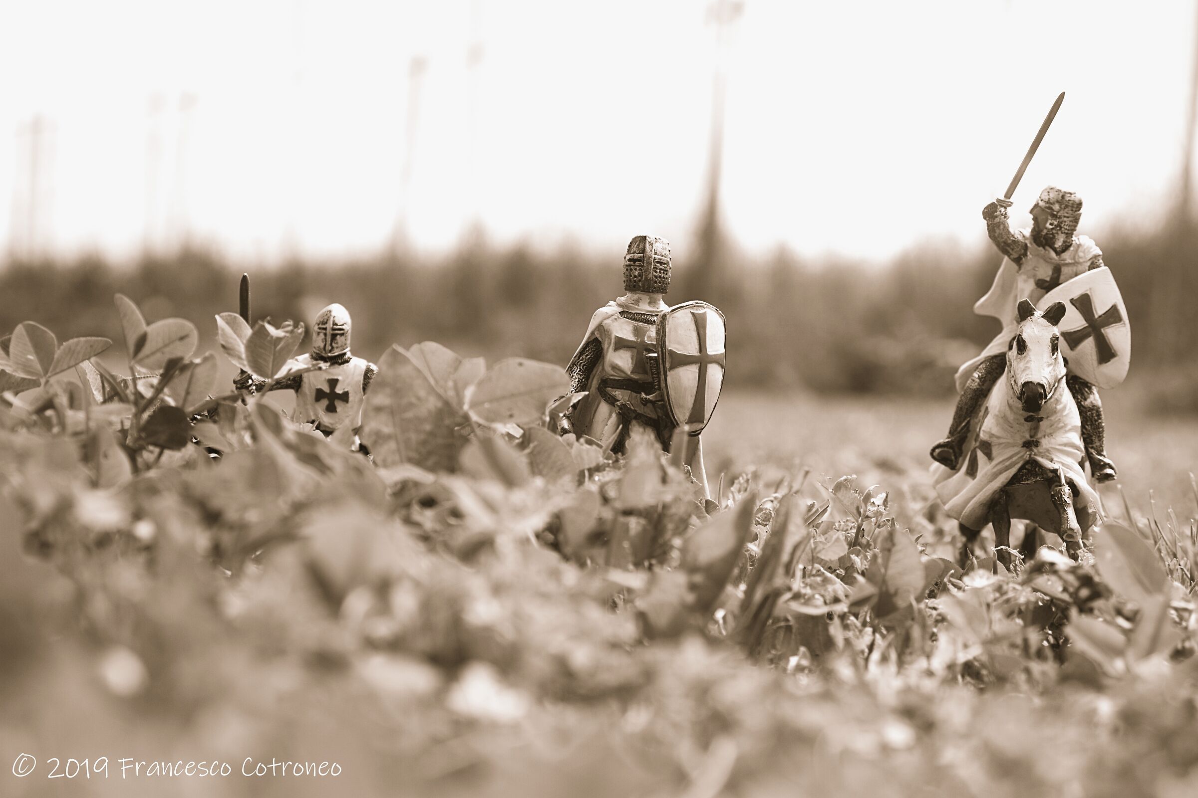 Cavalieri templari in un campo a Virle Piemonte