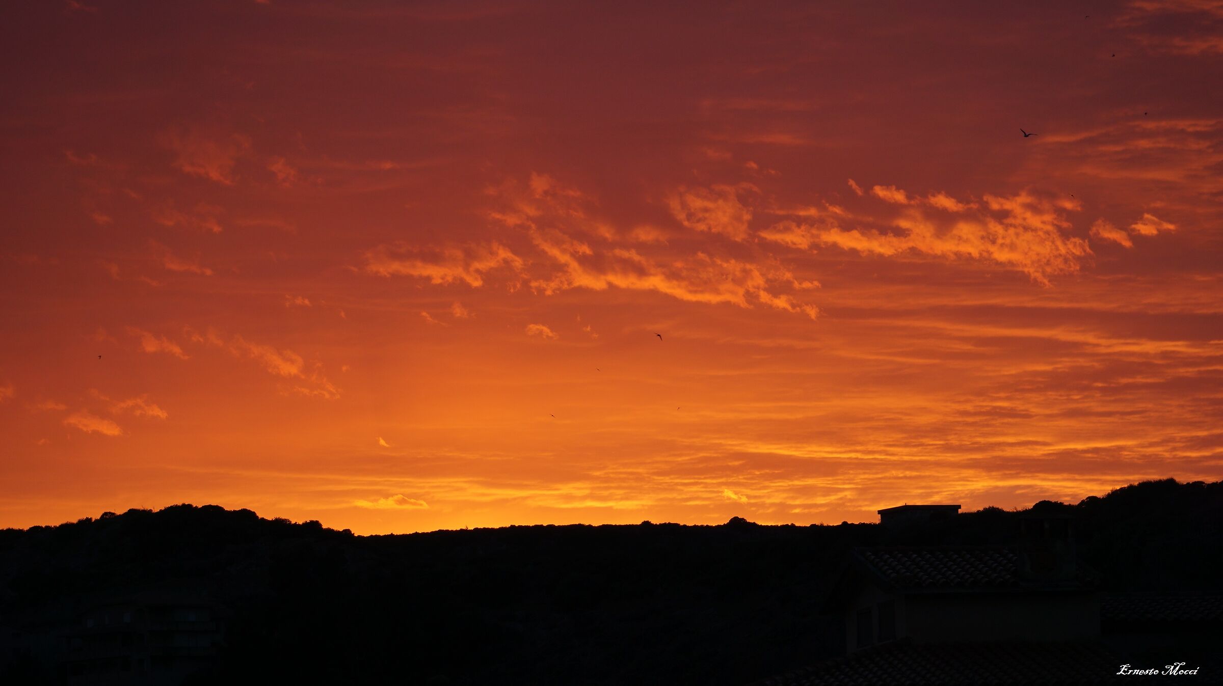 Ludwig van Beethoven-Melody of Love