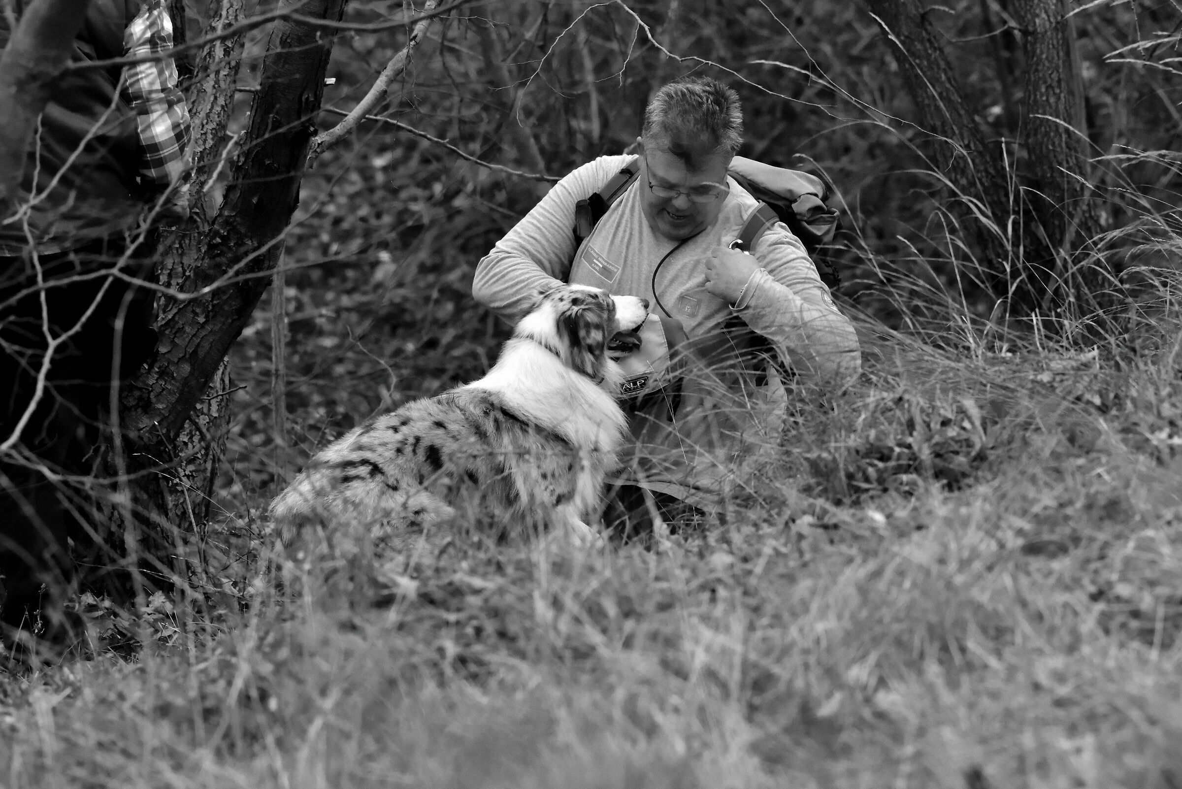 La fatica del cane da ricerca in superficie.