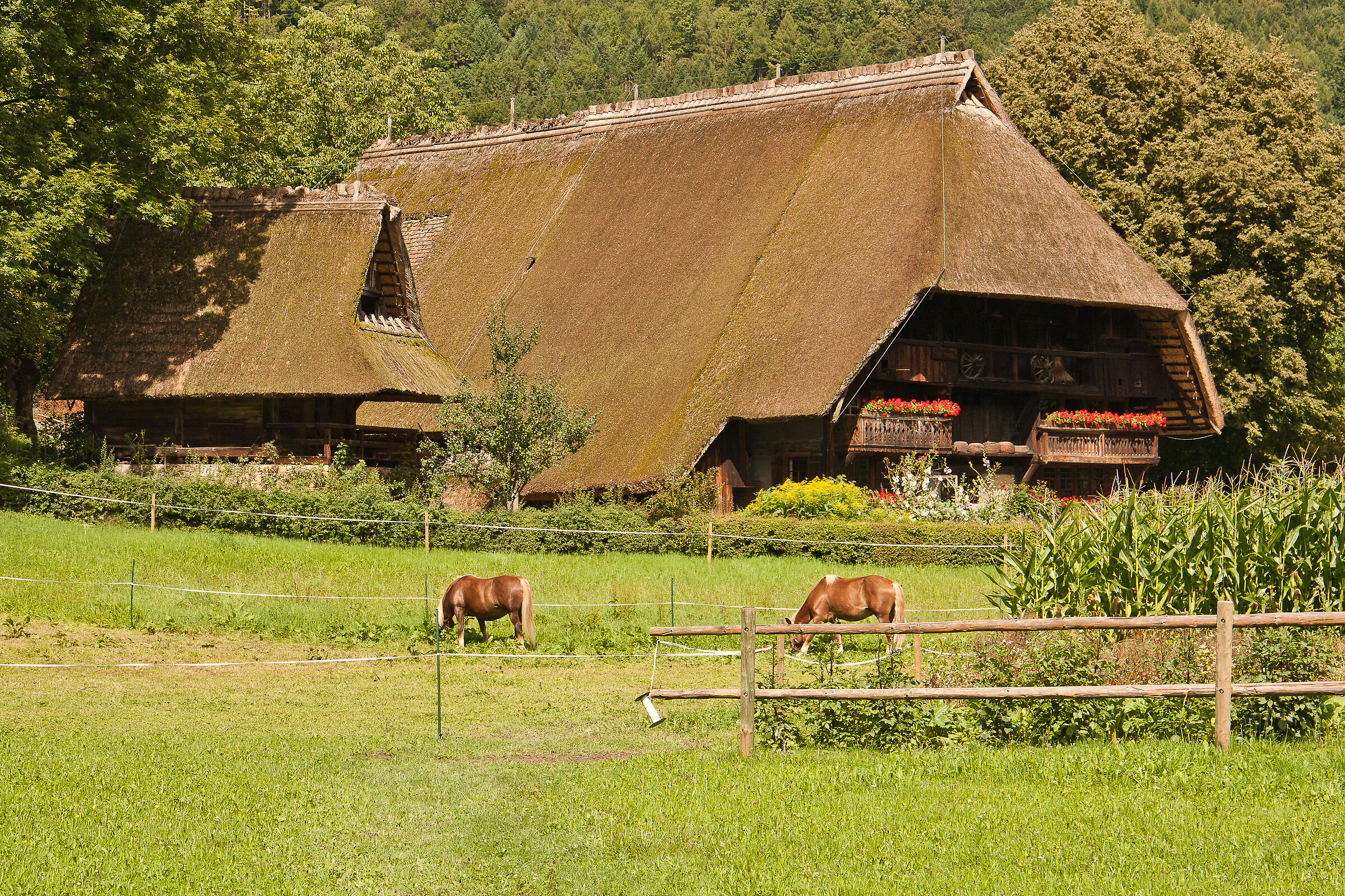 Schwarzwälder Freilichtmuseum Vogtsbauernhof