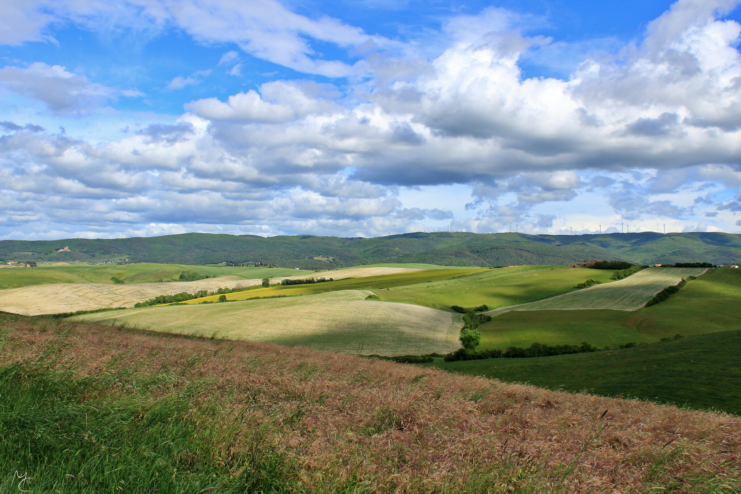 Colline toscane