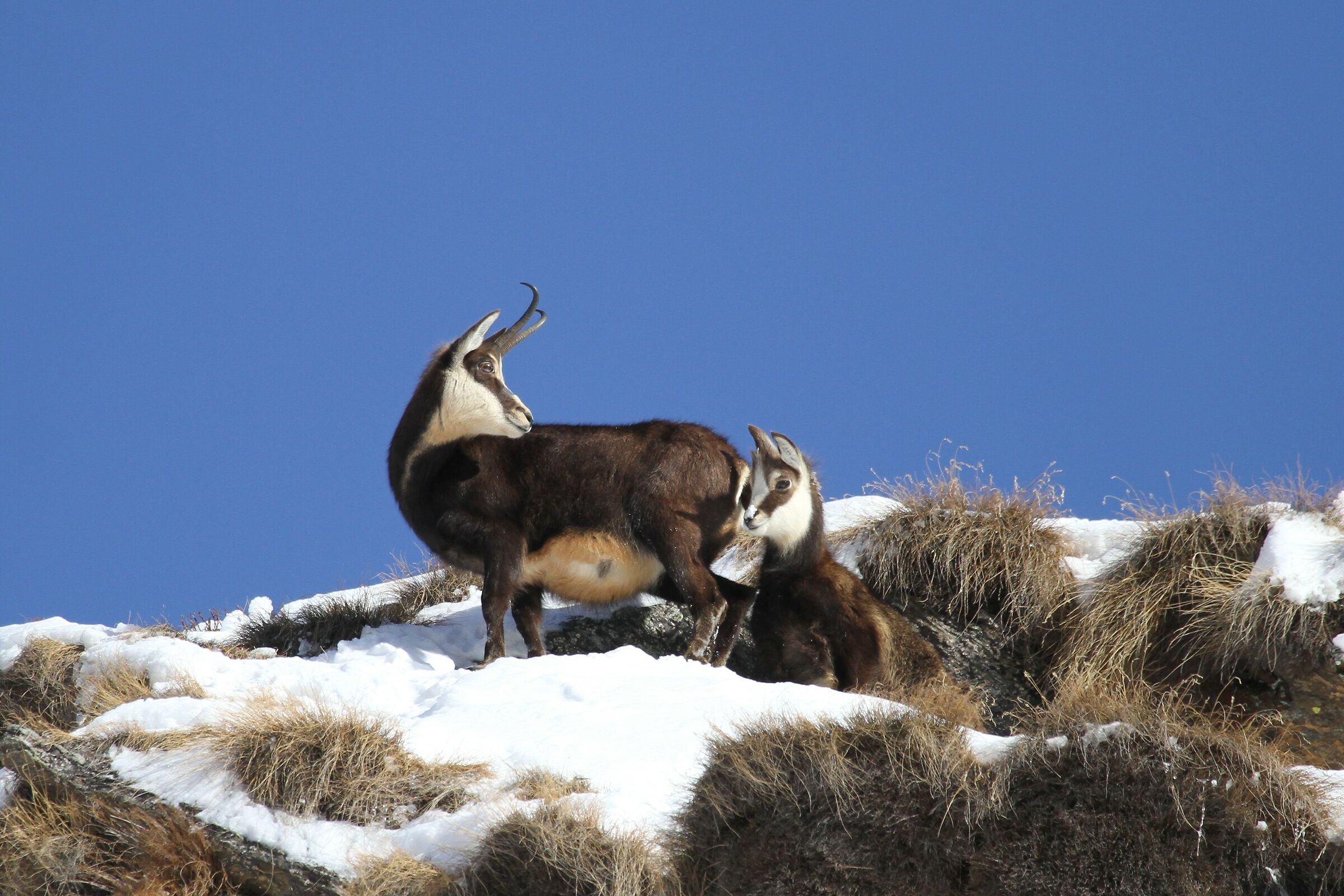 sotto lo sguardo di mamma